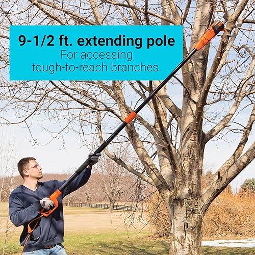 Miniatura 5 de BLACK+DECKER PP610 podadora de altura con cable de 6.5 Amp., 10 pulgadas.