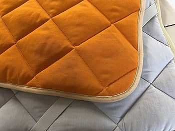 Amazon｜ガイガベットパット シングルサイズ [ 丸山式 地磁気