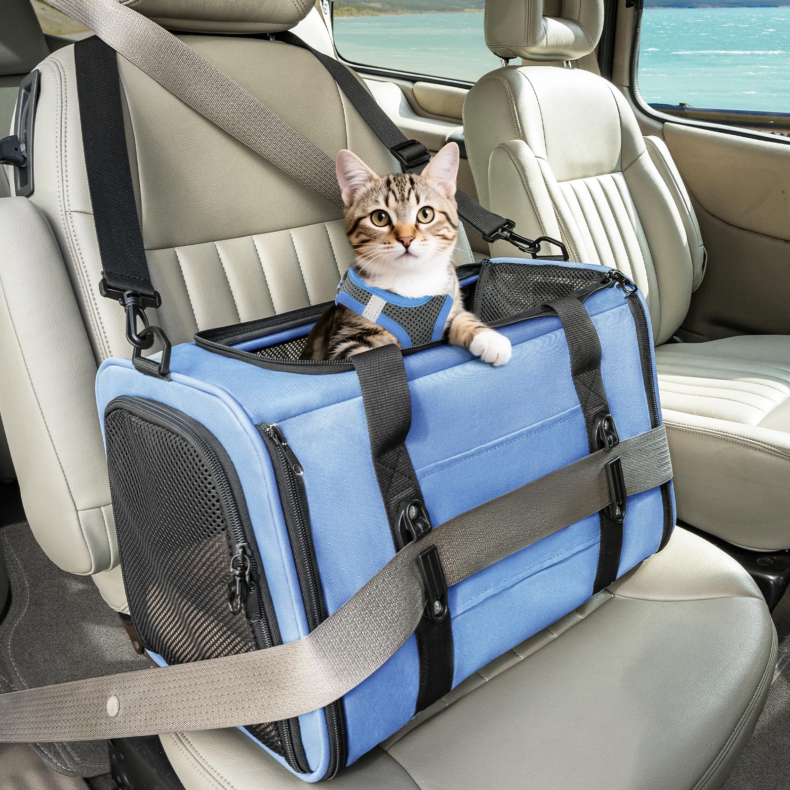 Petsfit Cat Carrier Blue