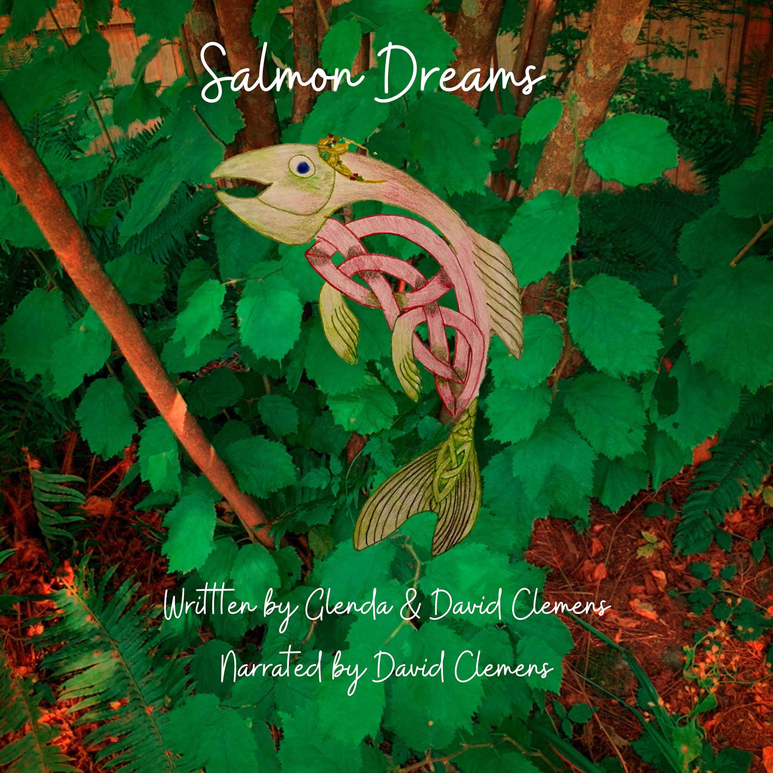 Cover art for Salmon Dreams