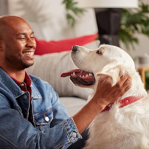 Miniatura 6 de Milk-Bone Original Dog Treats Galletas para perros grandes, 10 libras