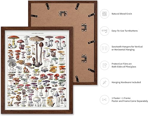 Miniatura 344 de Poster Master Póster vintage de orquídea, estampado de flores retro, arte de pared de plantas exóticas, arte botánico, regalo para hombres y