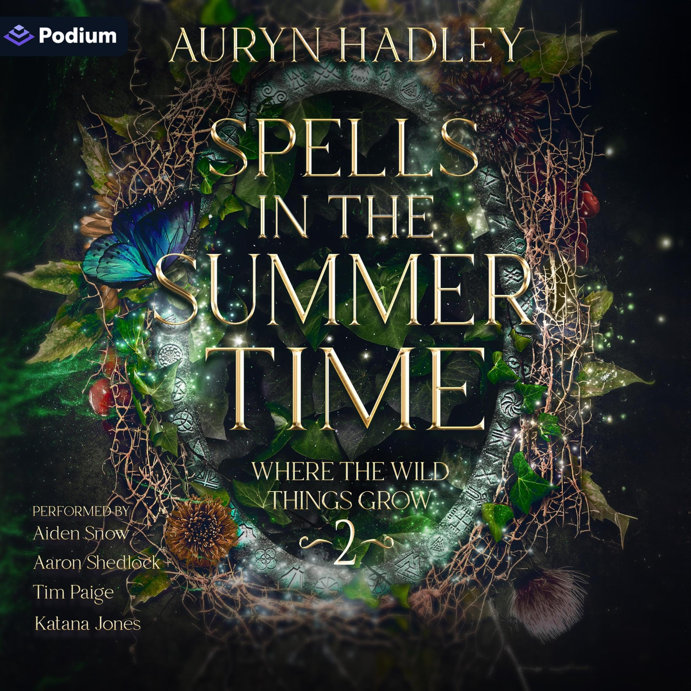 Cover art for Spells in the Summertime