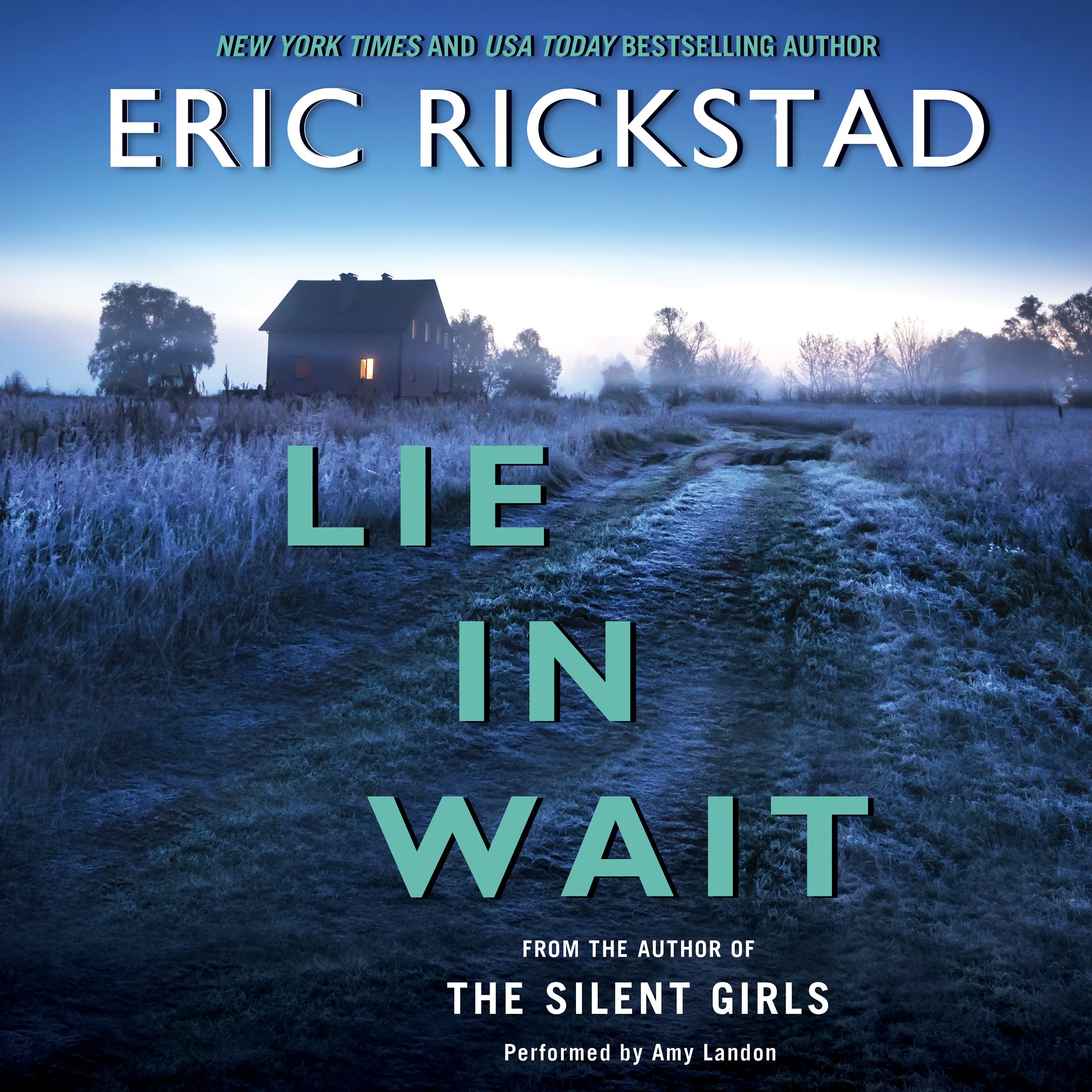 Cover art for Lie in Wait