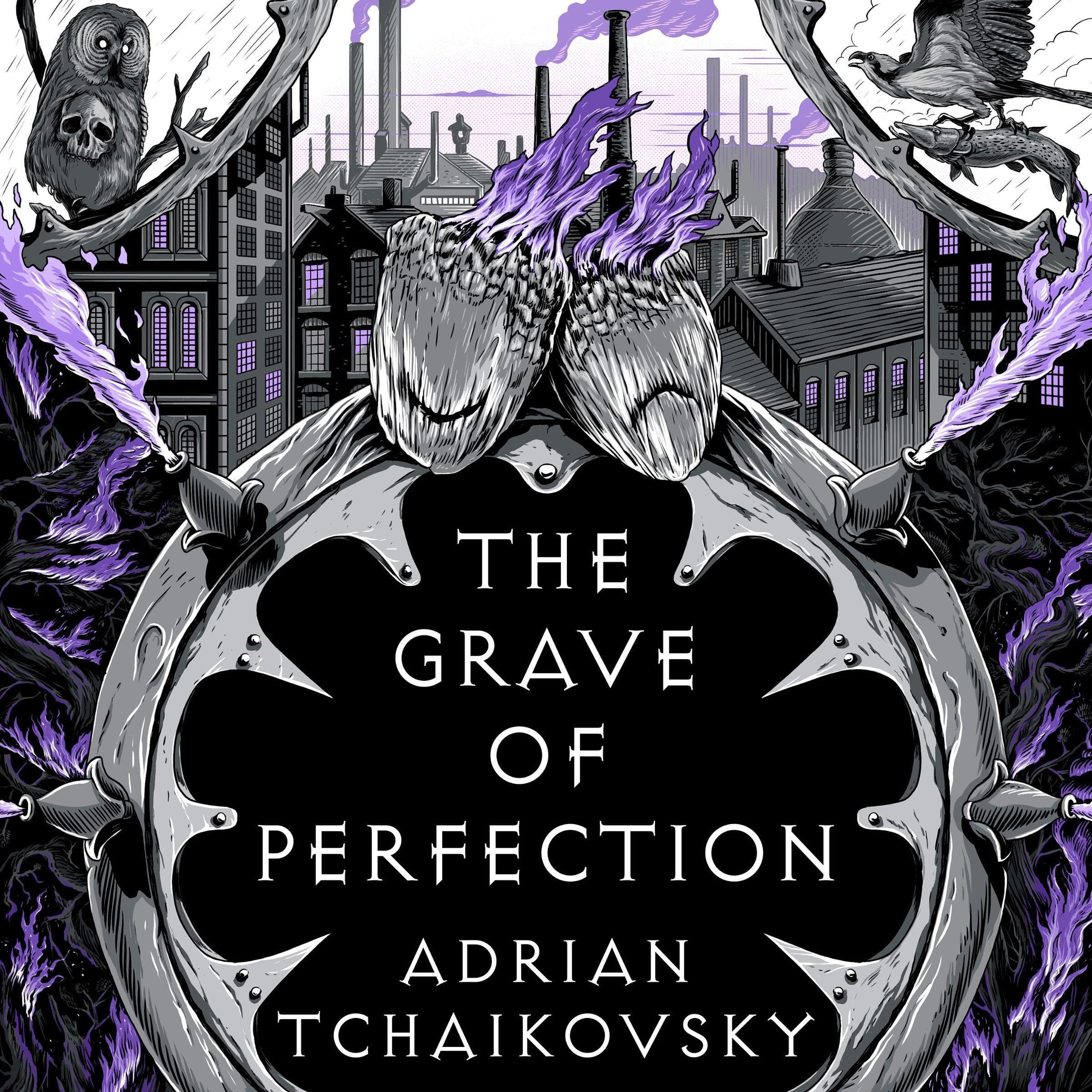 Cover art for The Grave of Perfection
