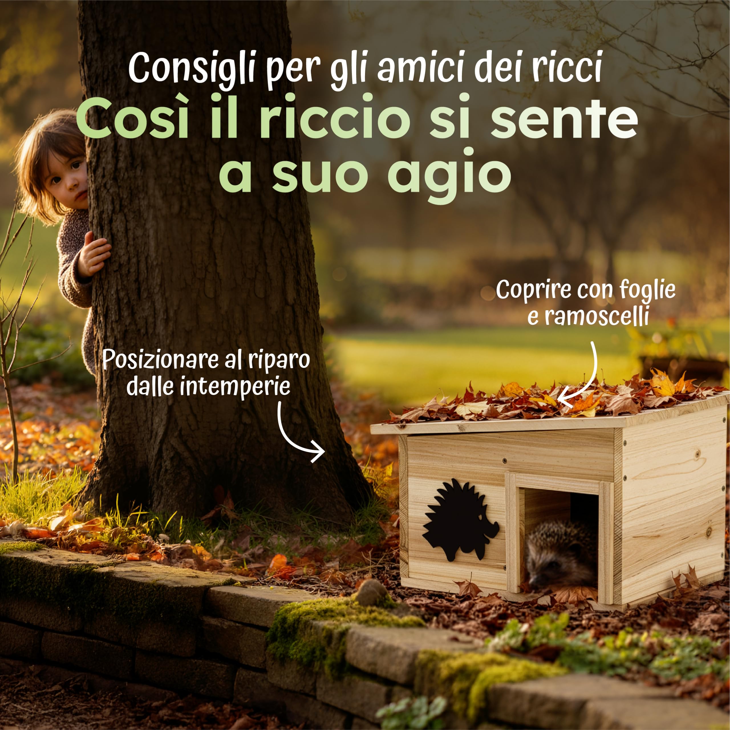 Moorland Casetta per ricci rifugio invernale in legno FSC® per esterni base | 32x26cm fissa sistema a 2 camere con divisorio tetto removibile resistente al clima dormitorio fondo inverno riparo IH7
