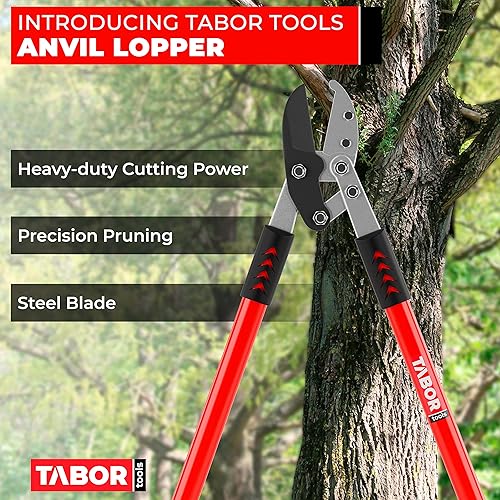 Miniatura 8 de TABOR TOOLS GL18 y GL16 - Cortador de ypass para árboles, Rojo y Negro