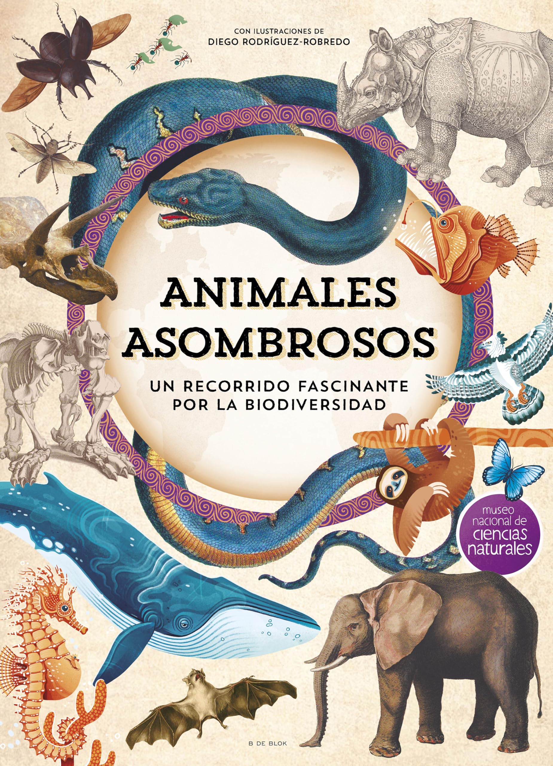 Animales asombrosos: Un recorrido fascinante por la biodiversidad (B Plus)