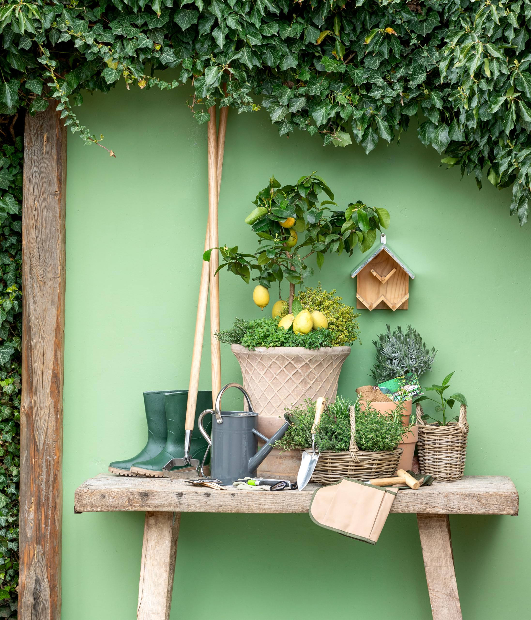 Dehner Natura Meisenknödelautomat - Wetterfeste Futterstation Für Wildvögel In Dunkelgrün