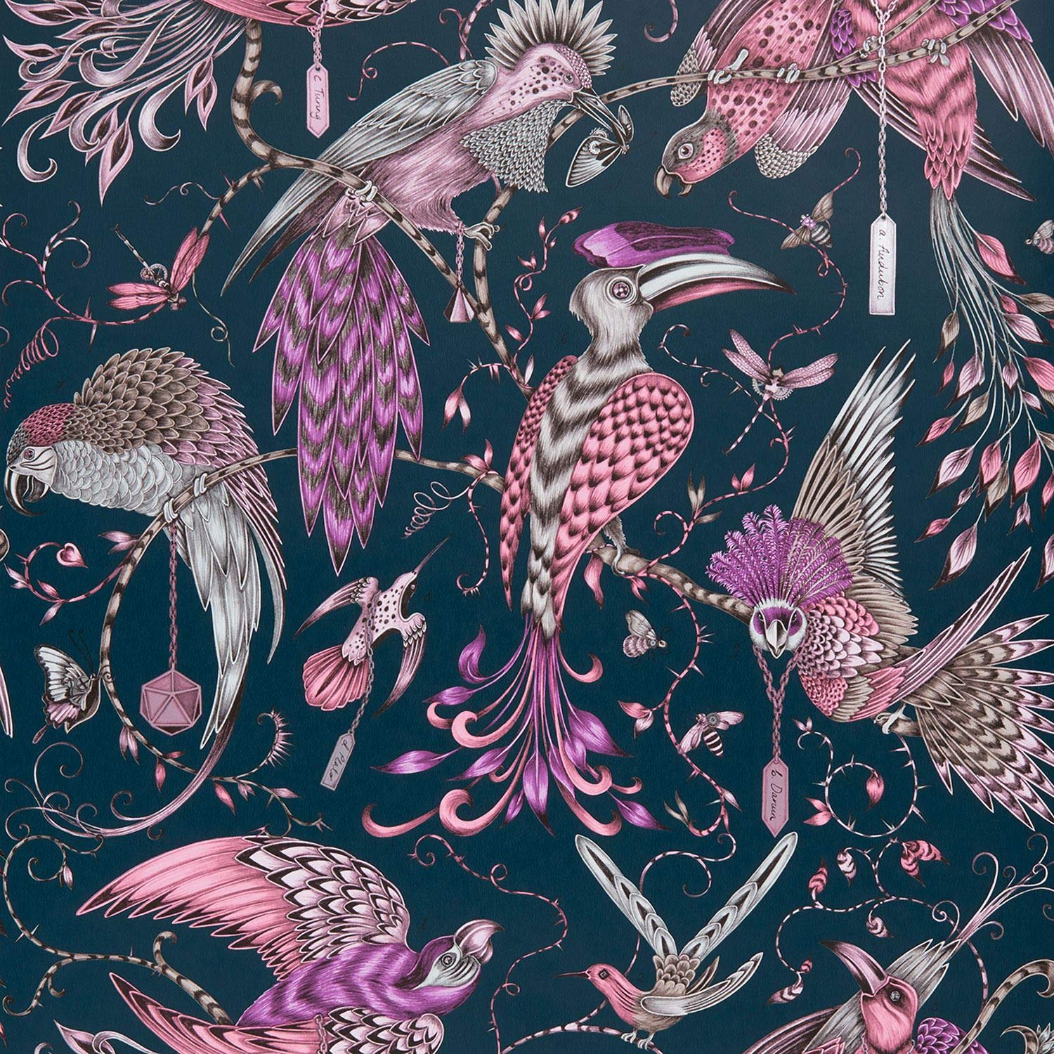 Clarke & Clarke Pink Emma J Shipley Animalia Audubon W0099/04 Wallpaper