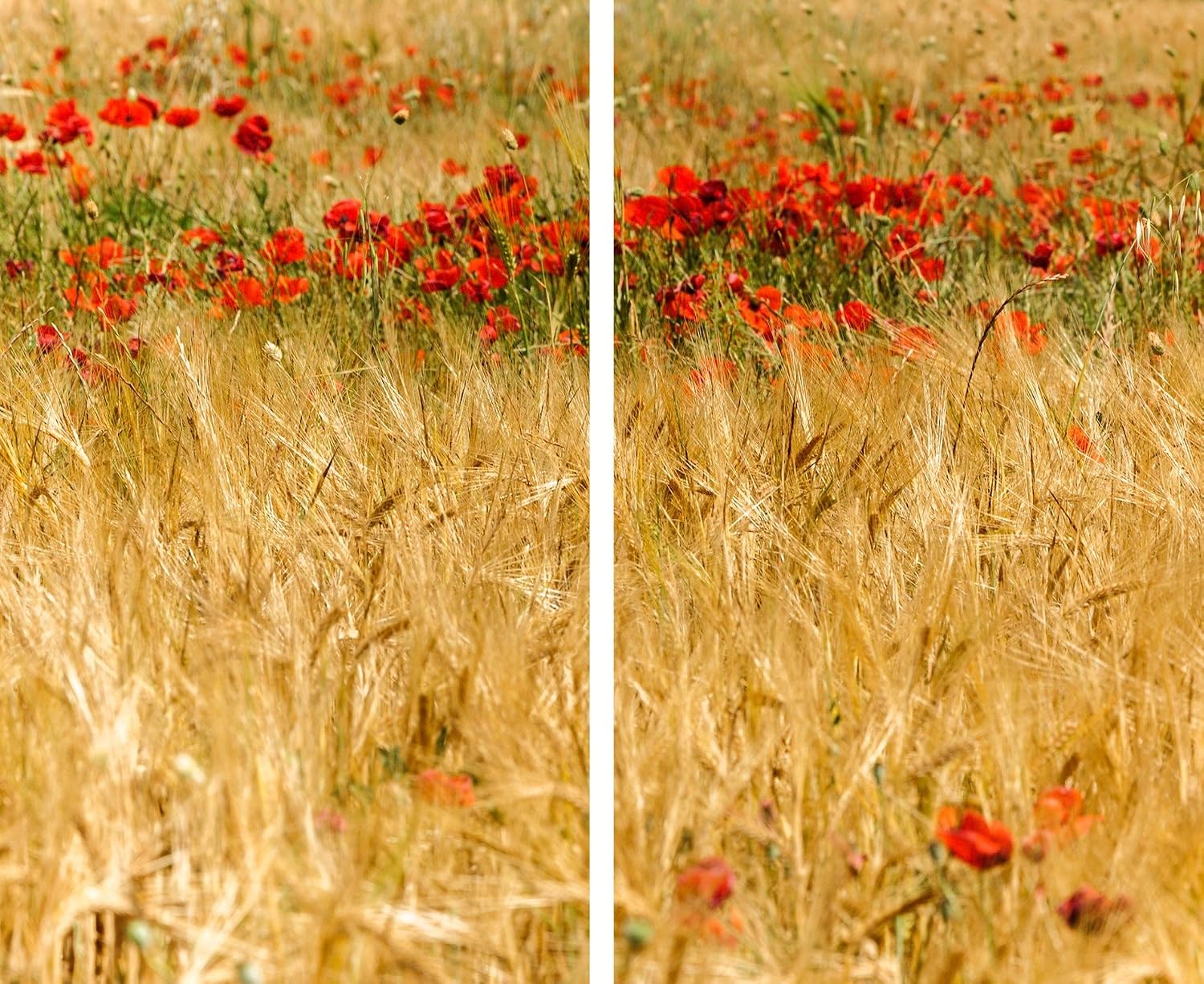 Factory4me Floral Curtains Poppies and rye. Window Curtain Set of 2 Panels Each W42 x L84 Total W84 x L84 inches Drapes for Living Room Bedroom Kitchen