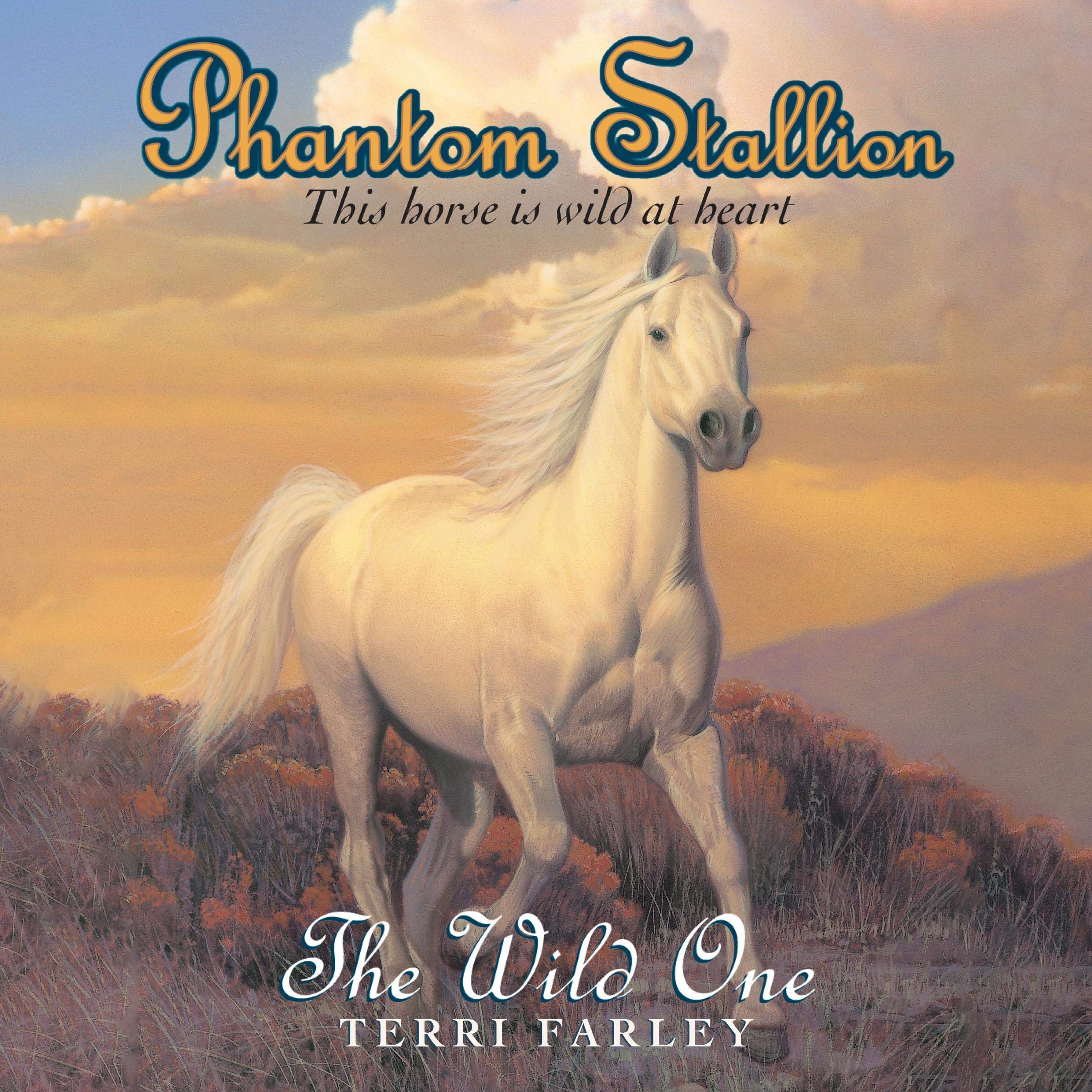 The Wild One: Phantom Stallion, Book 1