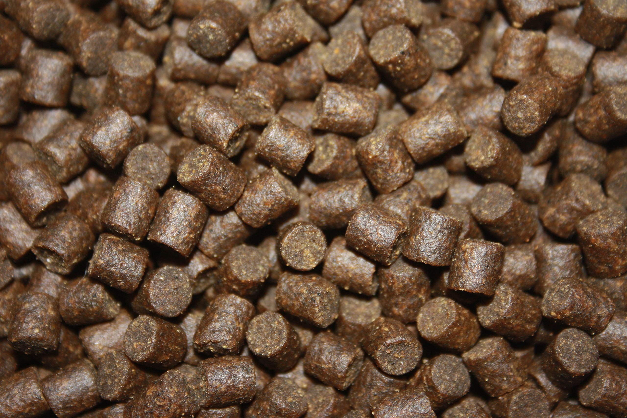 Tomodachi Störfutter groß, Energiefutter Stör perfekt für die ganzjährige Störfütterung, Störsinkfutter hochverdaulich, arktische Rohstoffe, geringe Wasserbelastung, Premium Stör Kraftfutter 8mm 15kg