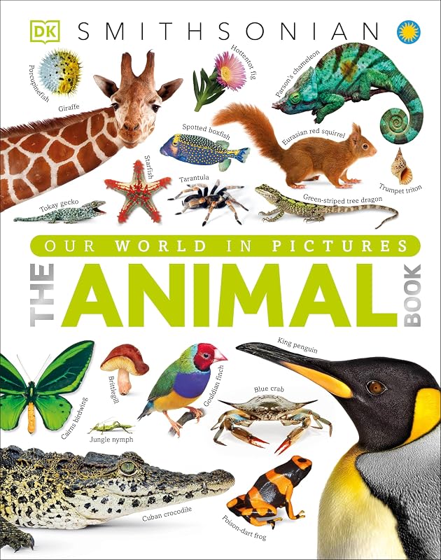 The Animal Book: A Visual Animal Kingdom Encyclopedia for Kids (DK Our World in Pictures)