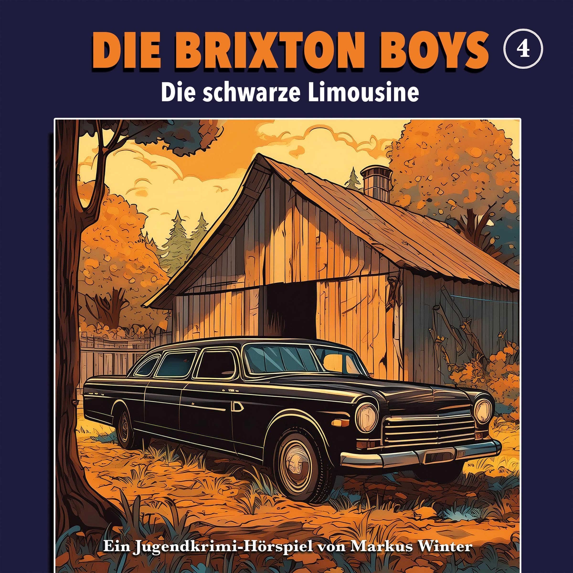 Cover art for Die schwarze Limousine