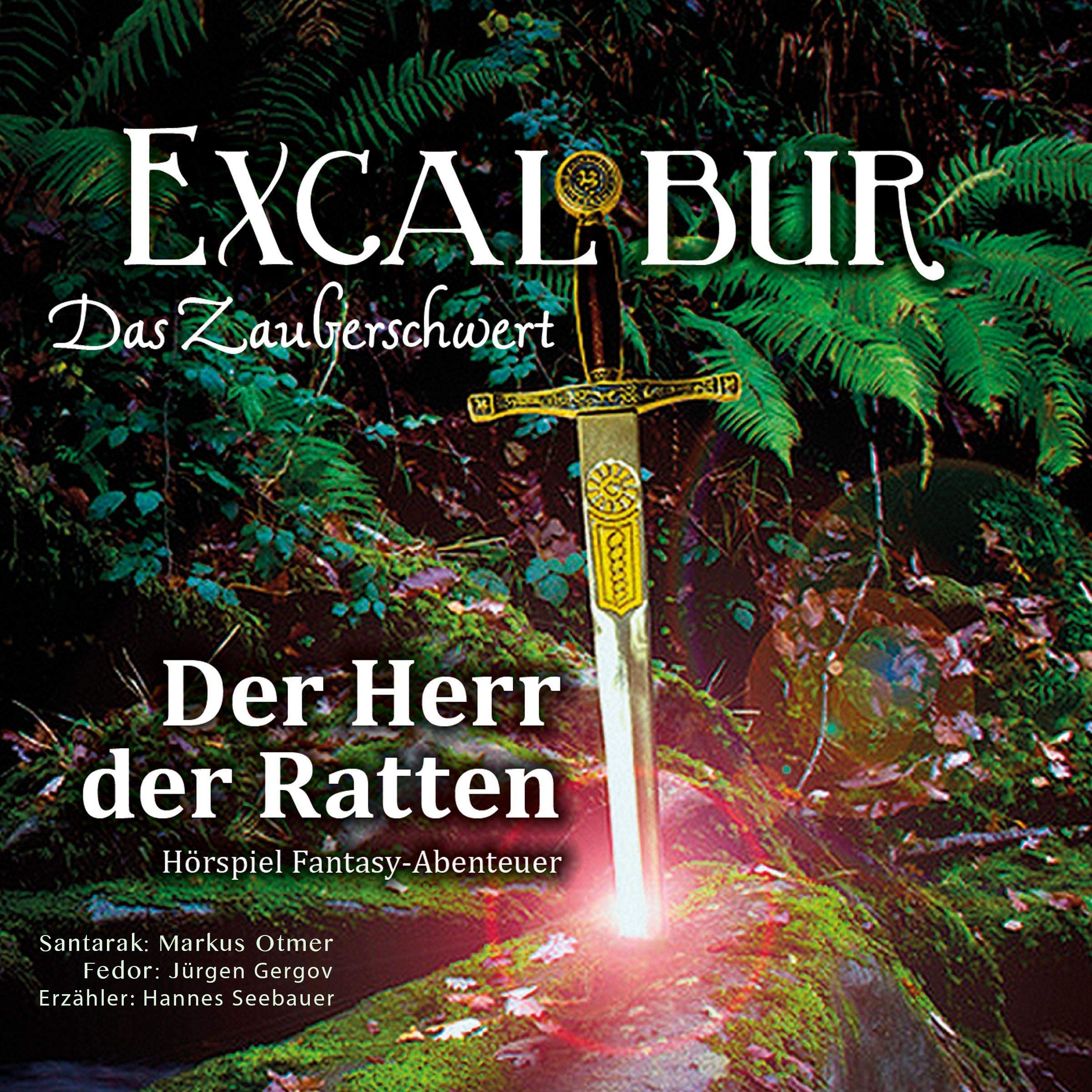 Cover art for Der Herr der Ratten