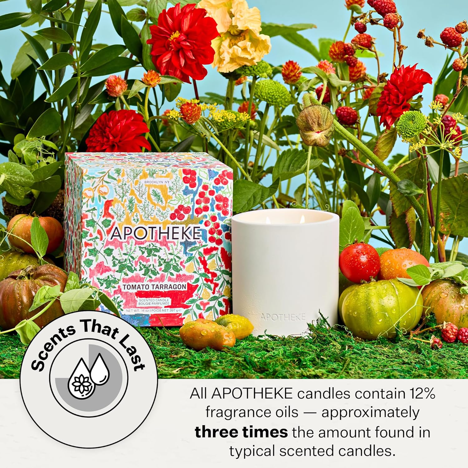 Apotheke Luxury Scented Candles for Home, Tomato Tarragon - Aromatherapy Jar Candle with Soy Wax Blend