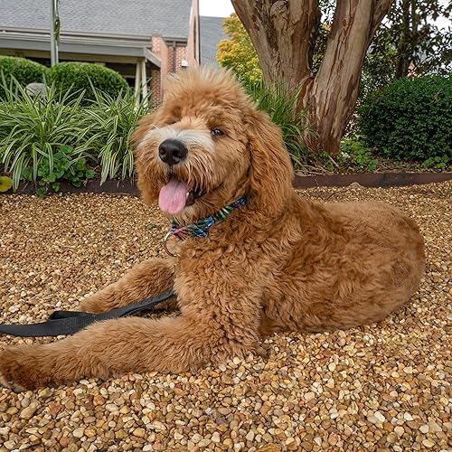 Miniatura 3 de Country Brook Petz - Collar de perro Martingale con rayas de teñido anudado de 1 12 pulgadas, talla L