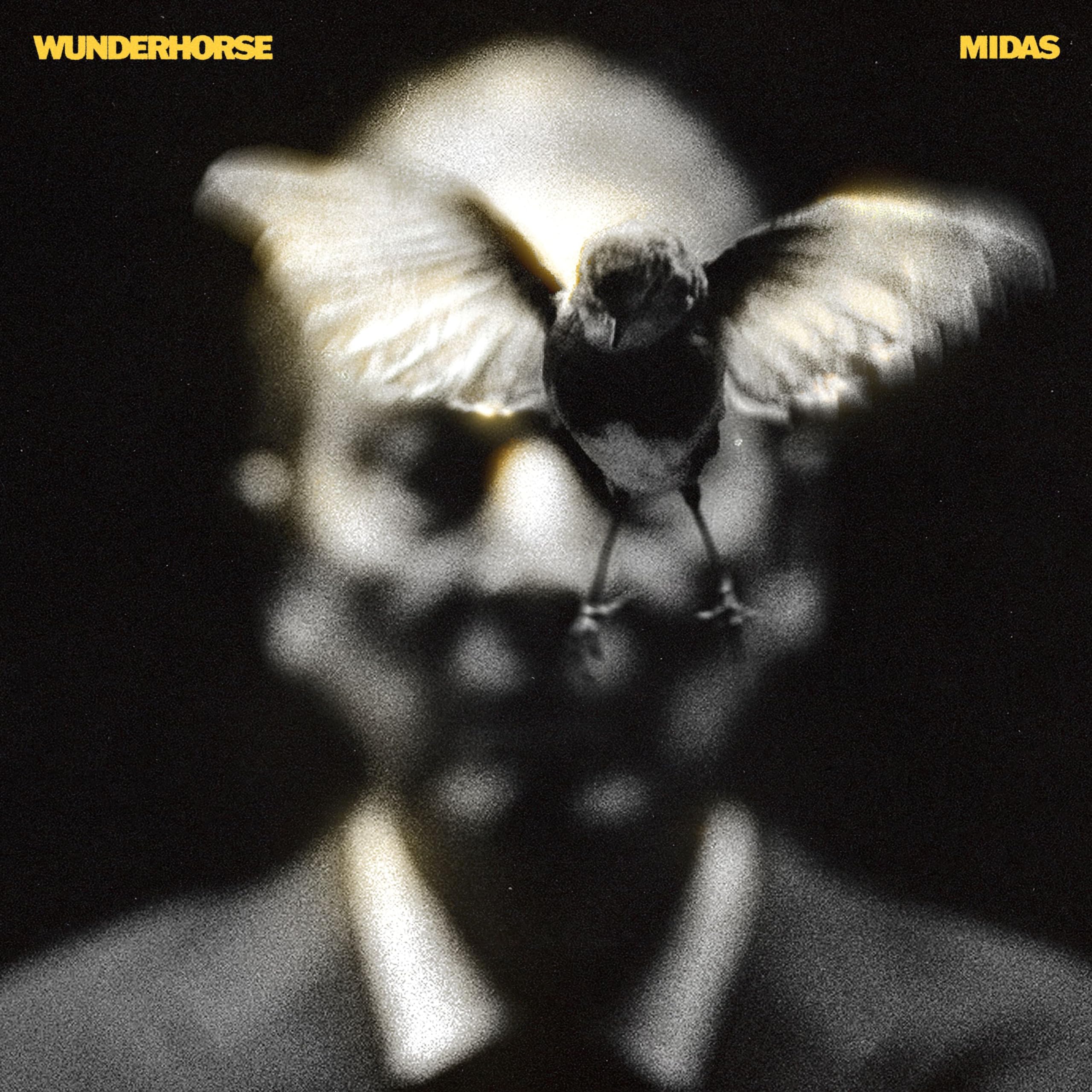 Midas [Vinilo] [Vinyl LP] [VINYL]