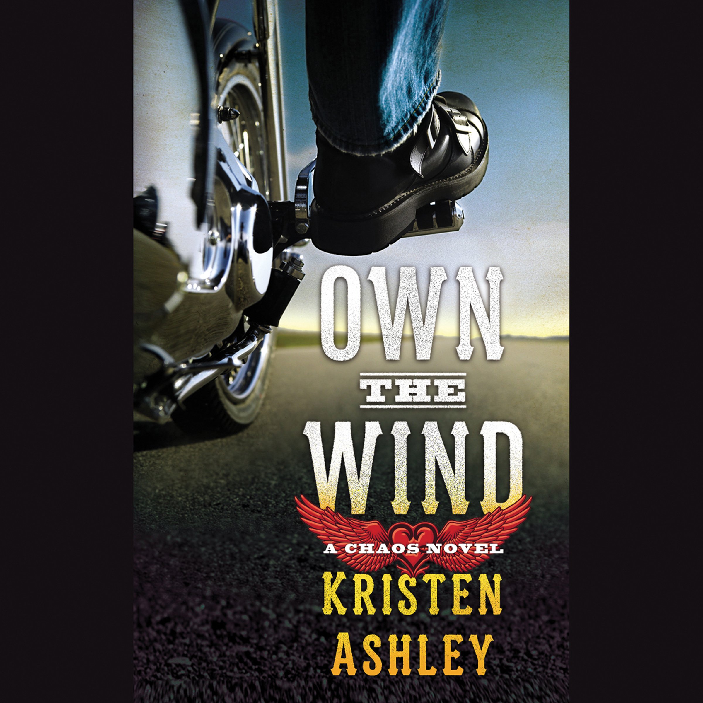 Cover art for Own the Wind
