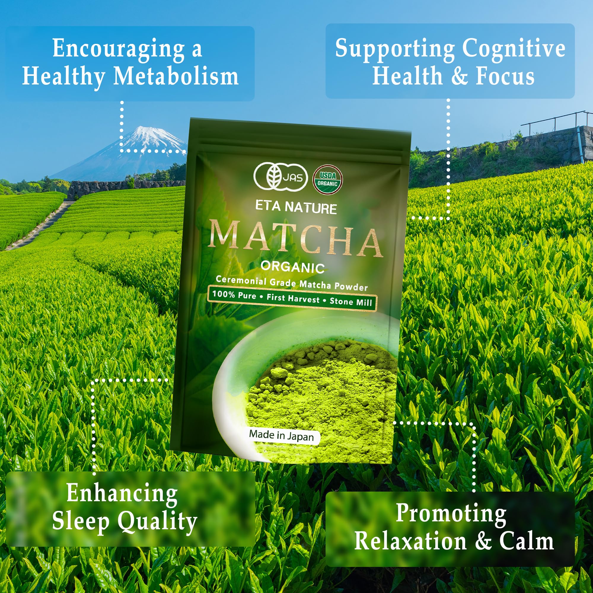 ETANATURE Premium Ceremonial Grade Matcha Powder - Matcha Green Tea Powder for Metabolism Brain and Sleep - JAS — view 3