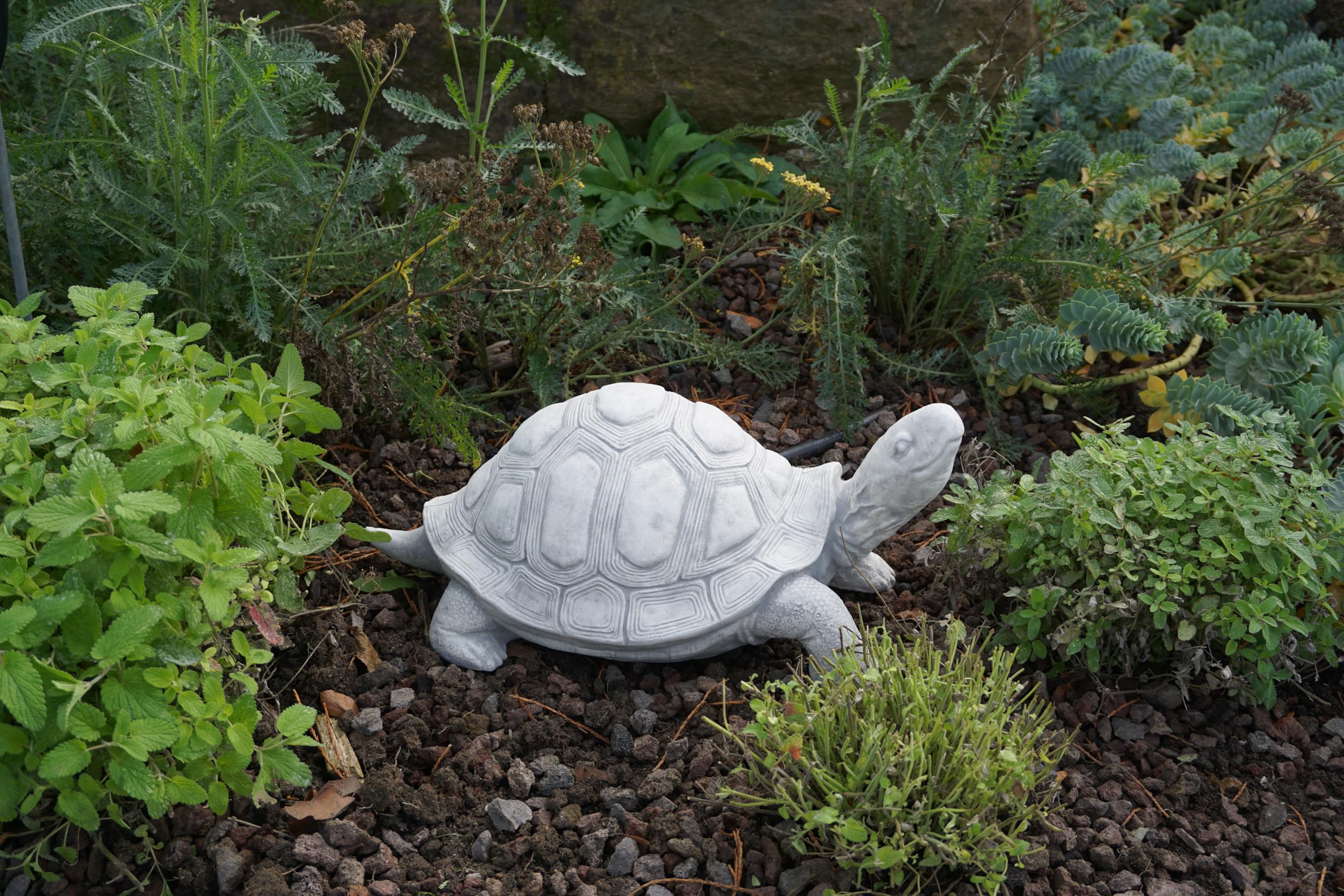 Gartenfigur Adler "Aquila marina dx" | Trösters
