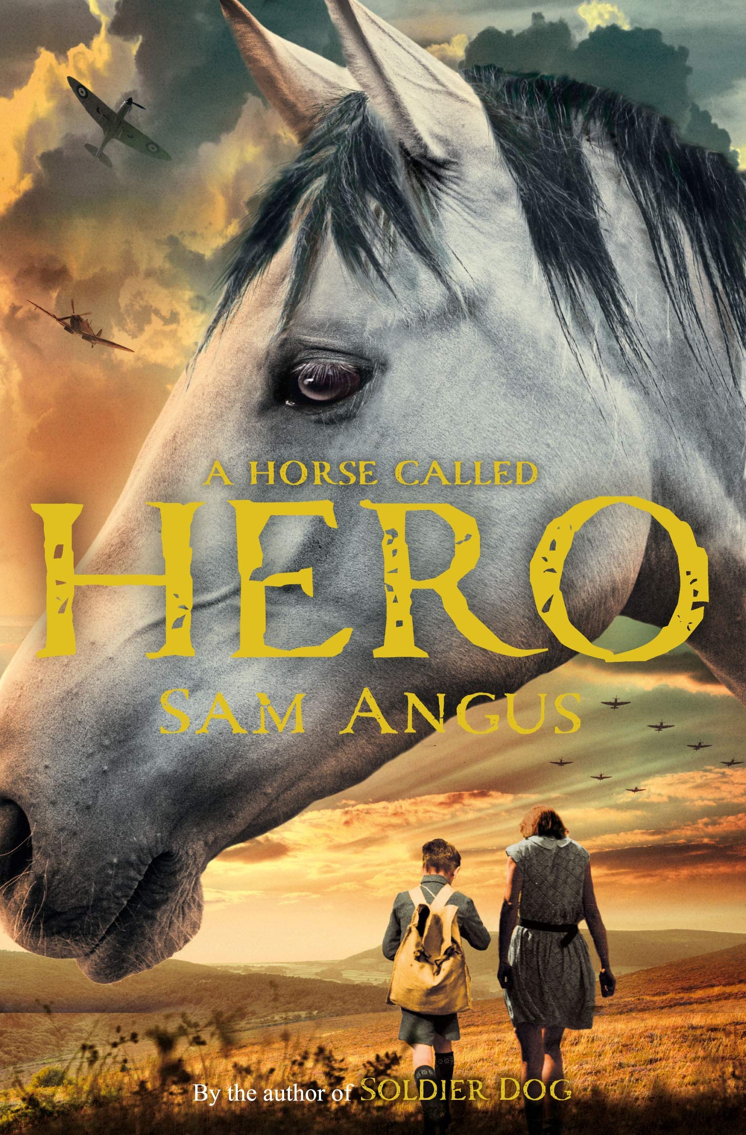 A Horse Called Hero By Sam Angus