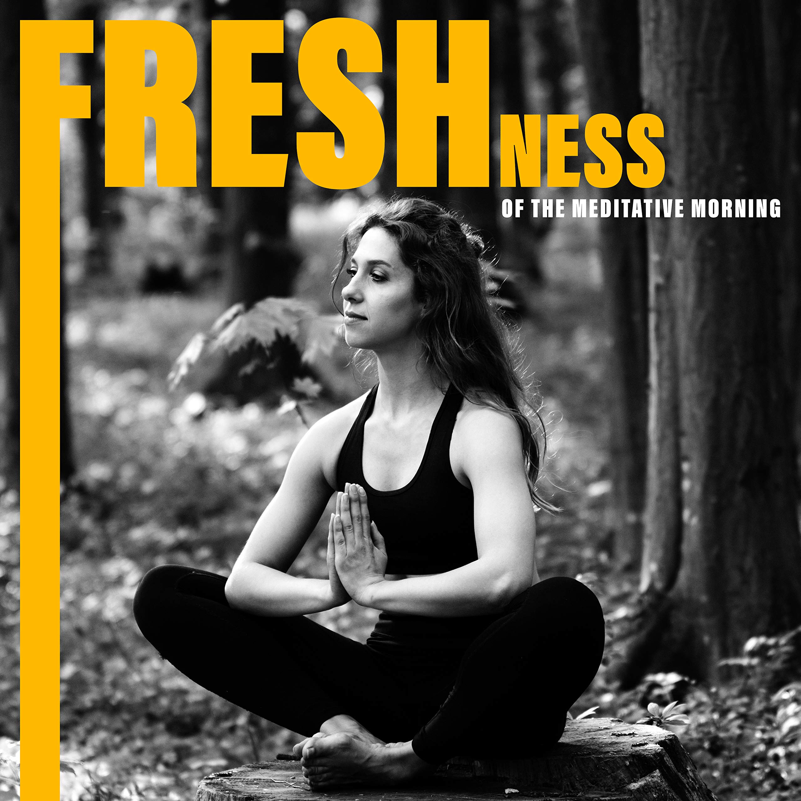 Raindrops on the Glass