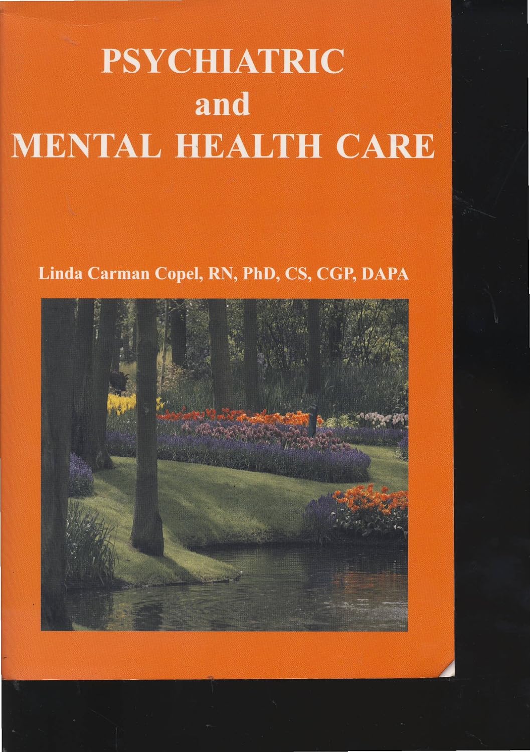The Nurse's Clinical Guide to Psychiatric and Mental Health Care ...