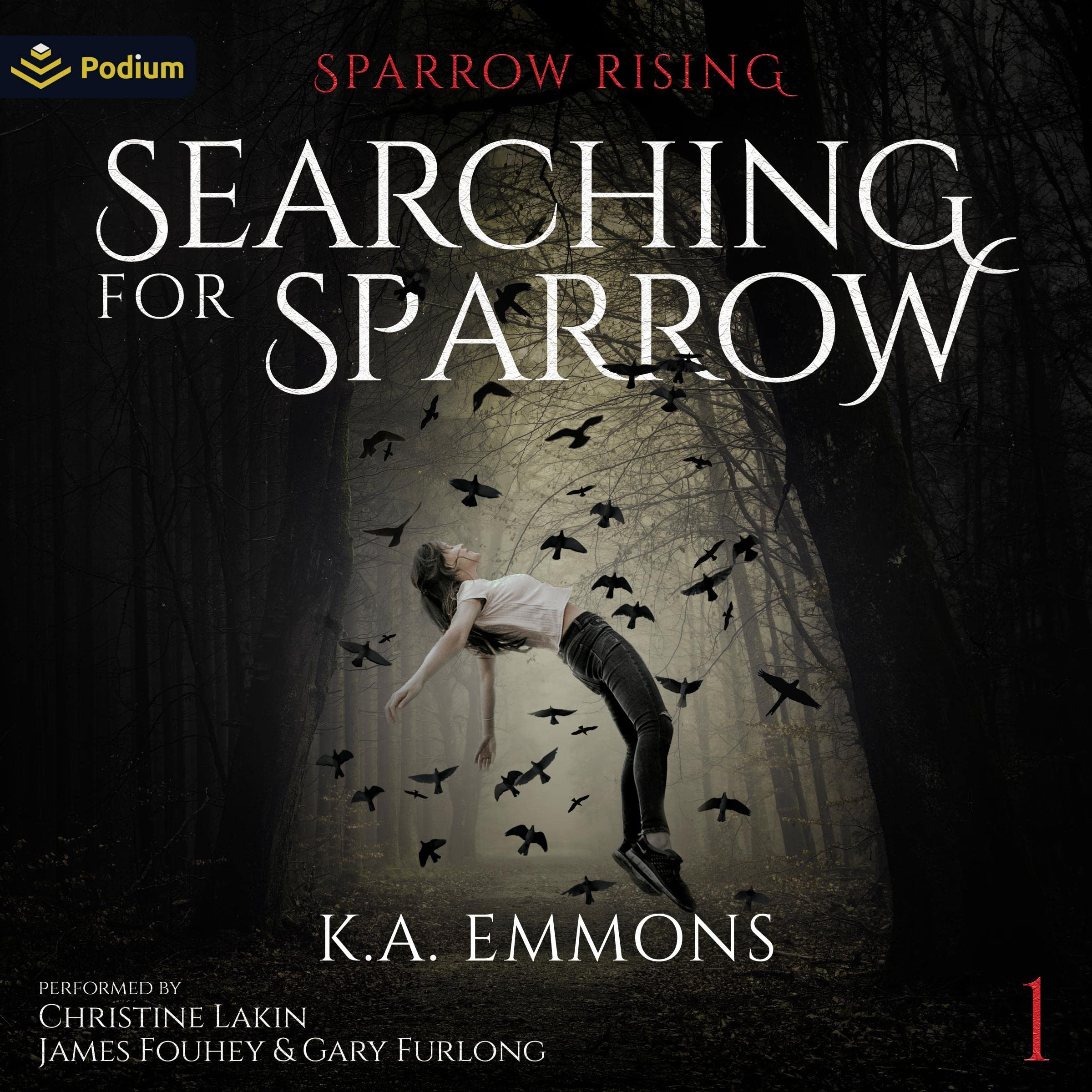 Cover art for Searching for Sparrow