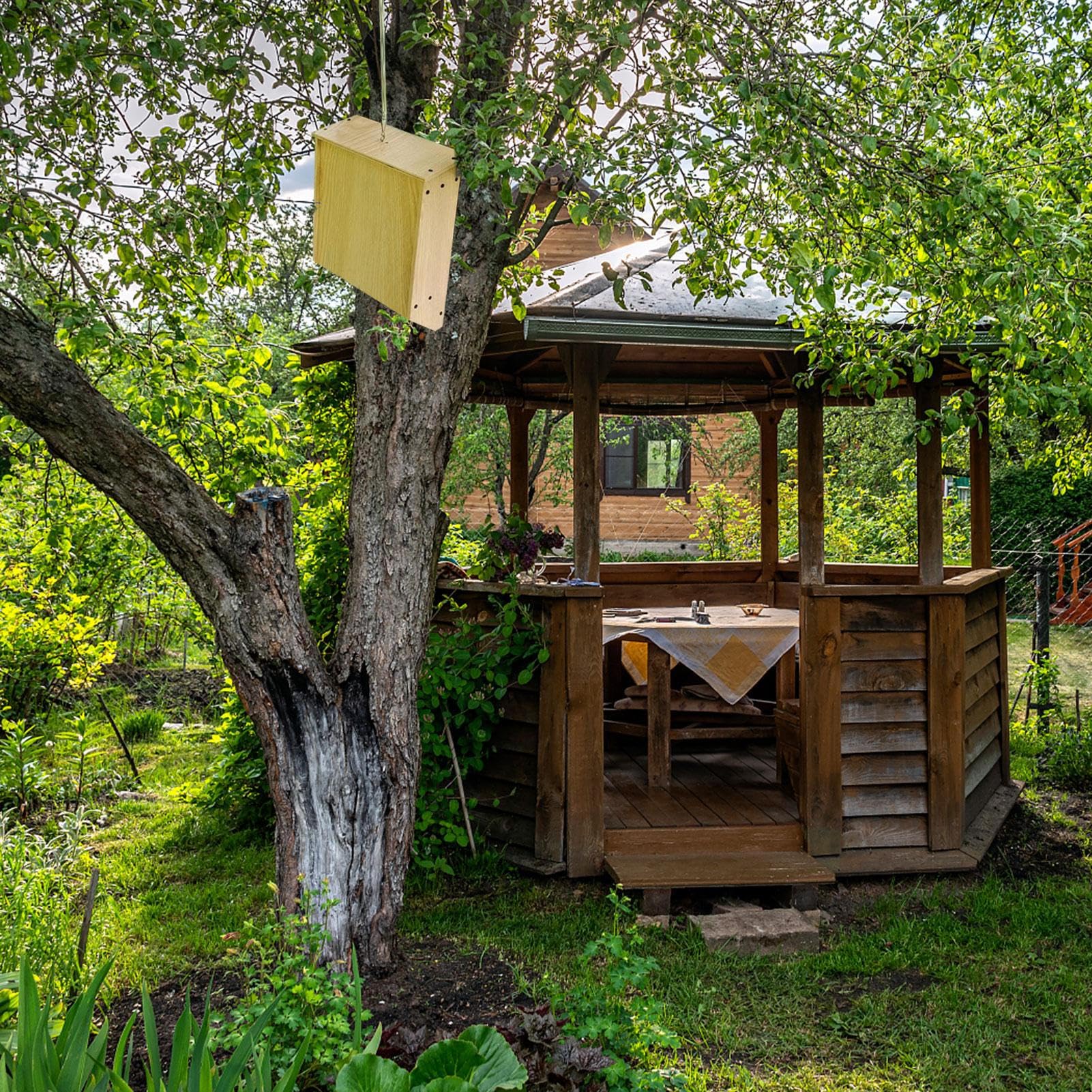 Bat House – Casette per pipistrelli da esterno | Casetta per pipistrelli per esterni | Grande scatola per pipistrelli pesante | Casetta per pipistrelli per giardino Regno Unito | Rifugio in legno