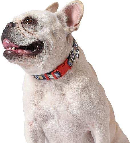 Miniatura 5 de Star Wars Collar para perro All Star, pequeño, con licencia oficial de Star Wars Allstars, collar de perro para perros pequeños con anillo en D,