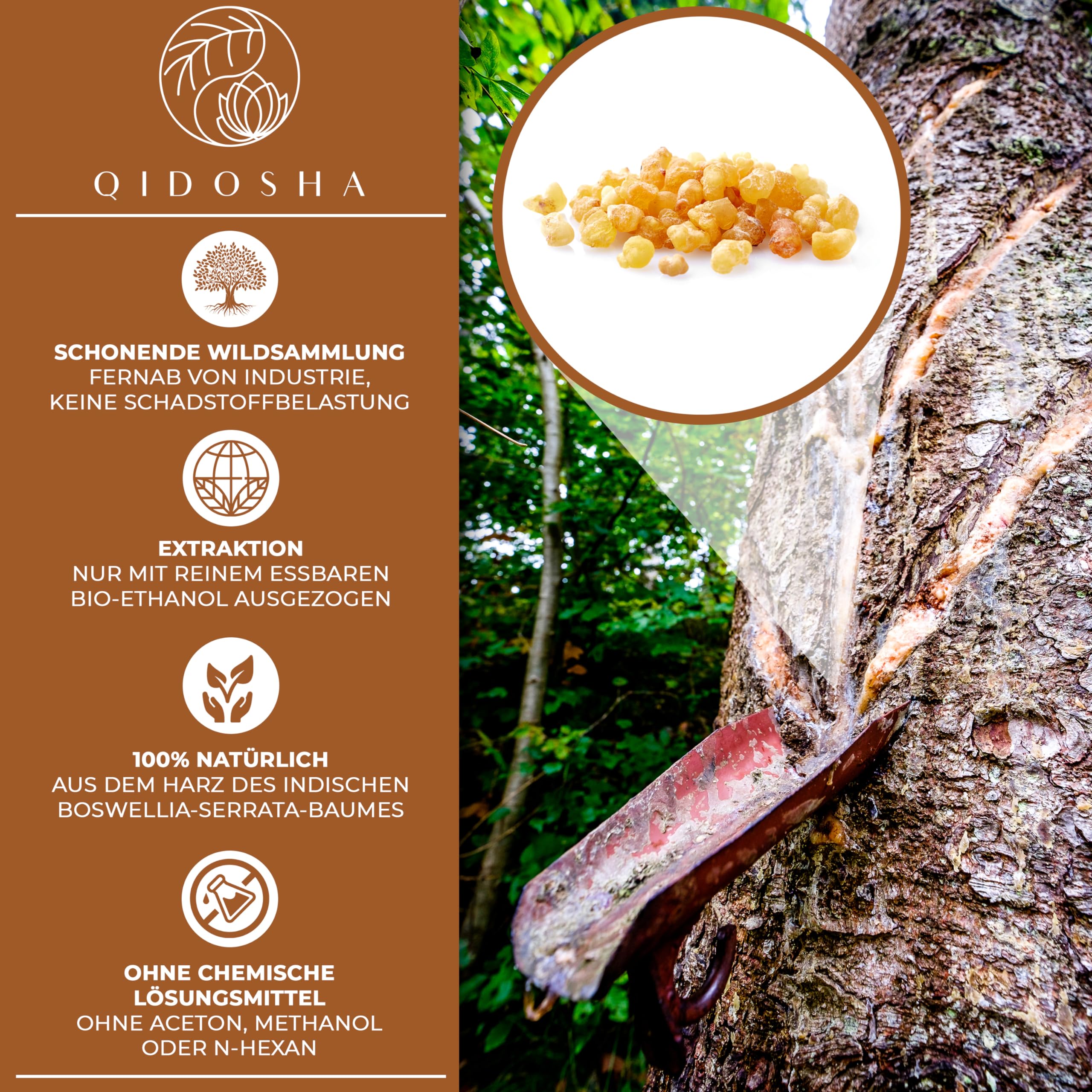 QIDOSHA® Weihrauch AKBA Kapseln, höchster AKBA-Gehalt am Markt, 120 Stk/Glas, 250mg Weihrauch-Extrakt mit 125mg AKBA je Kapsel, 80% Boswellia-Säuren, AKBA Kapseln hochdosiert mit 50% AKBA