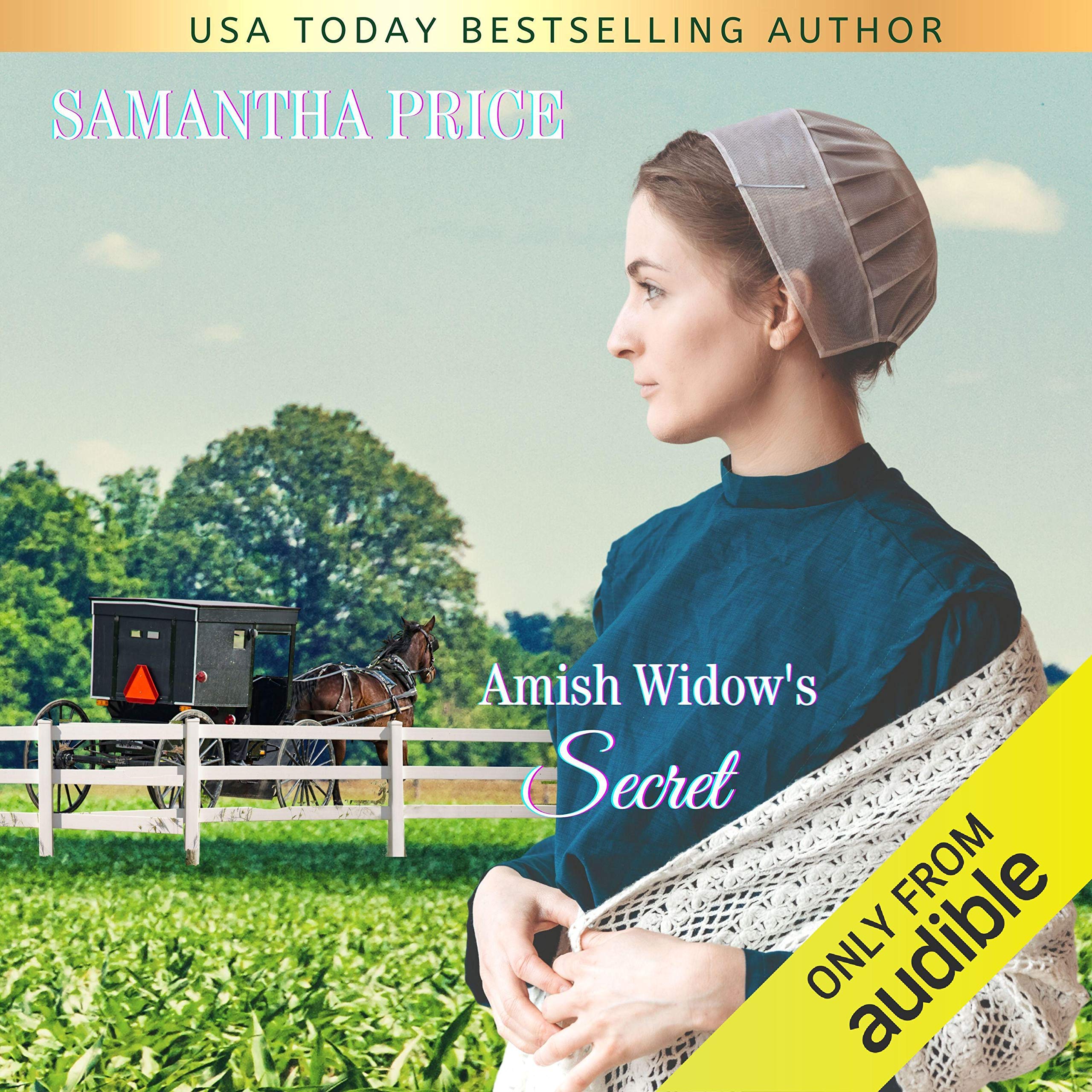 Cover art for Amish Widow's Secret