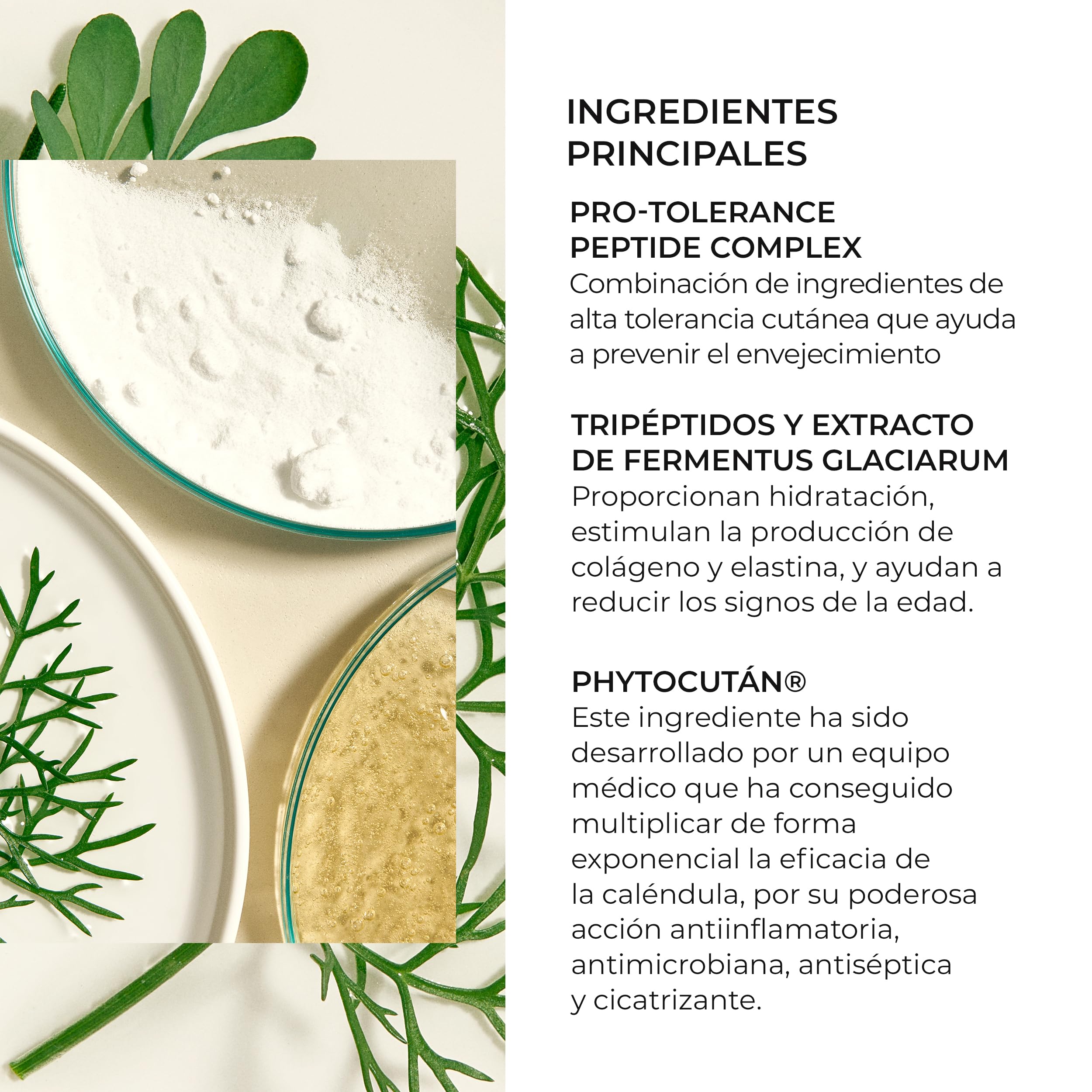 Natura Bissé Tolerance Recovery Cream | Crema Hidratante Facial Antiedad Con Péptidos, Fermentus Glaciarum y Phytocután | 50 ml