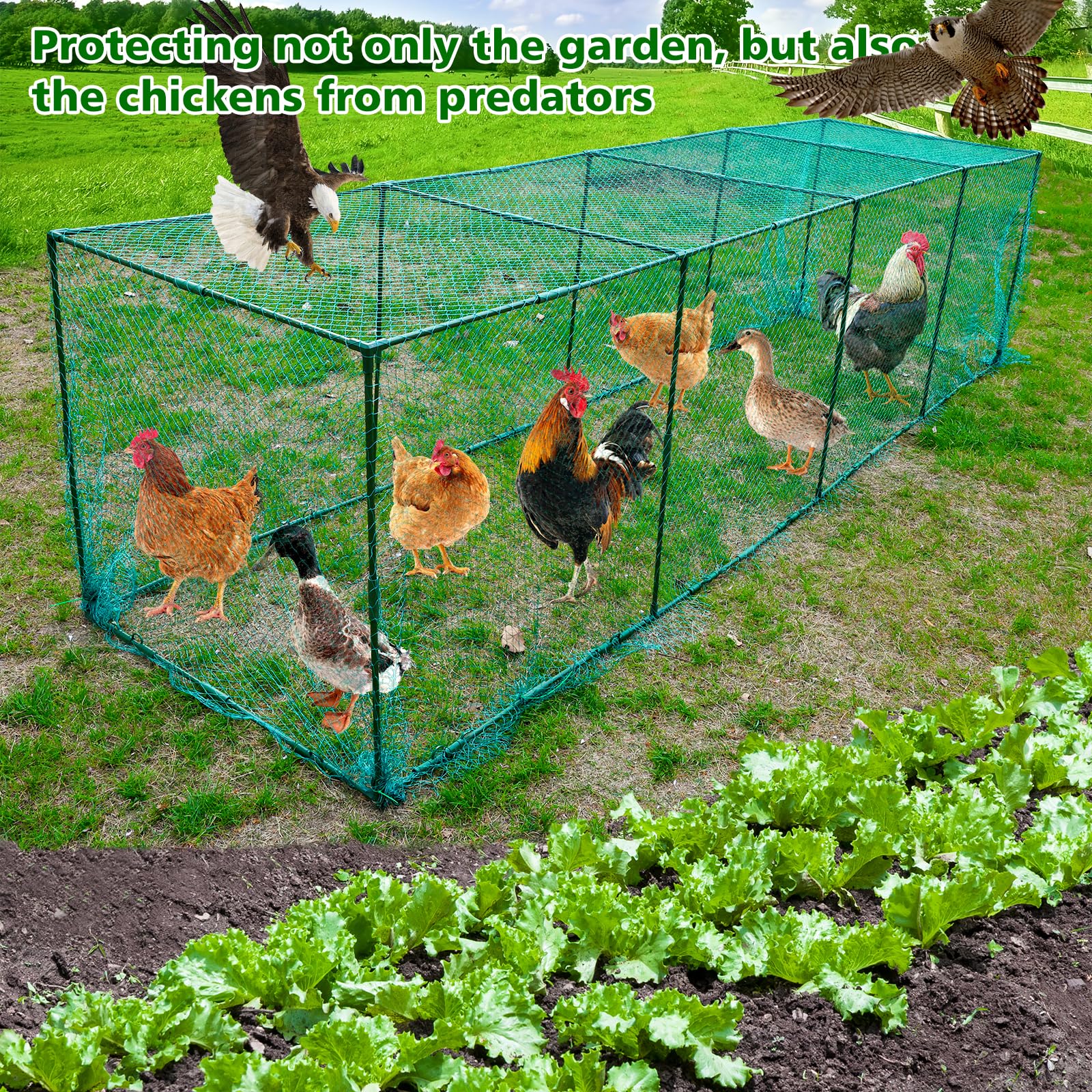 UNIFAMILY Túneles grandes para pollos, corral portátil para gallineros, túnel de pollo para patio exterior, corrales de pollos para patio, fácil instalación, gallinero adecuado para pato, conejo