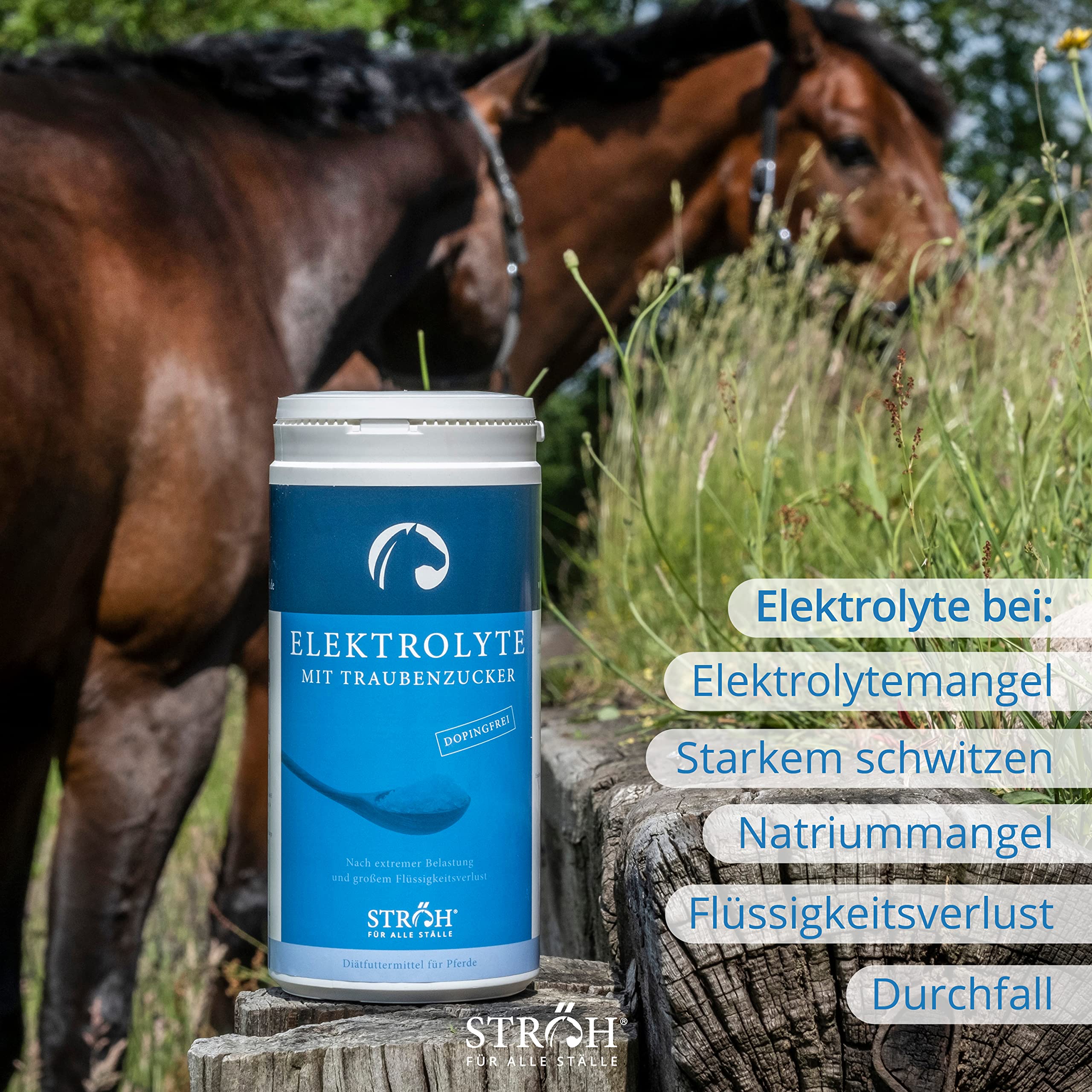 STRÖH Elektrolyte für Pferde + Traubenzucker (1,5 kg) • Mineralsalz Pulver Pferd • Mineralien für Pferde