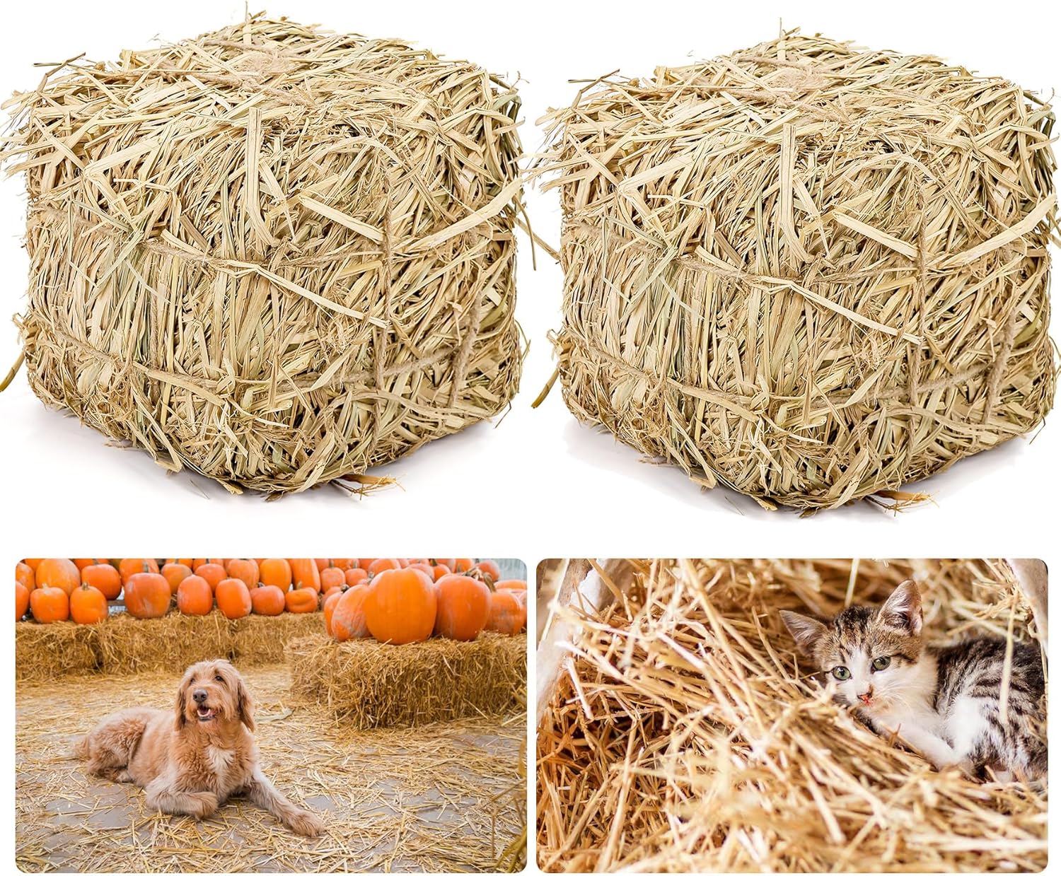 Natural Straw Bale for Cat Shelter – 8"x8"x8"Soft & Dry Straw Bedding for Cats, Feral Cats & Small Animals | Decorative Hay Bale for Outdoor Use, Farm Décor, Garden Straw & Pet Bedding (2)