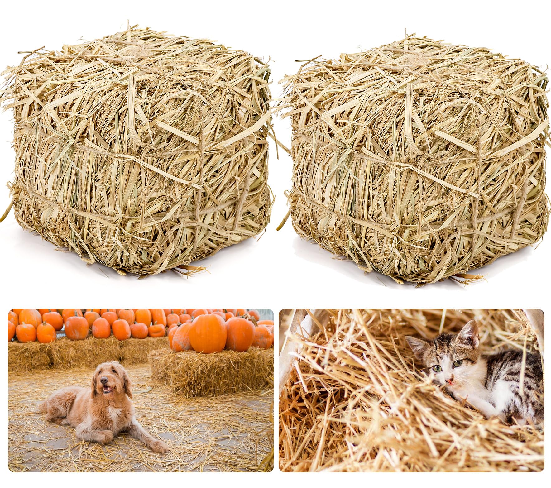 Balles de paille naturelle pour abri pour chat - 20,3 x 20,3 x 20,3 cm - Literie en paille douce et sèche pour chats, chats sauvages et petits animaux | Balles de foin décoratives pour