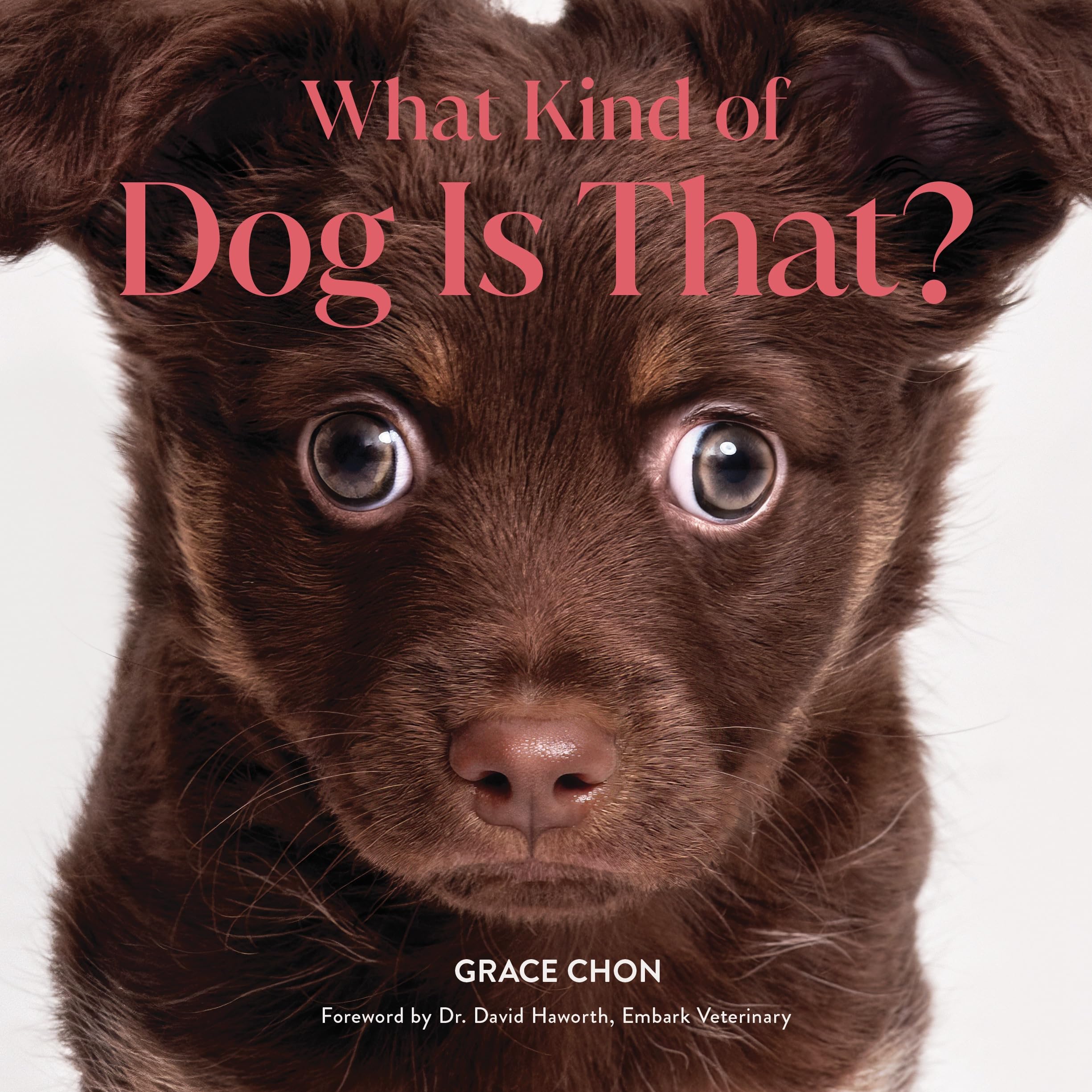 What Kind of Dog Is That? by Grace Chon, David Haworth - 9781682689646