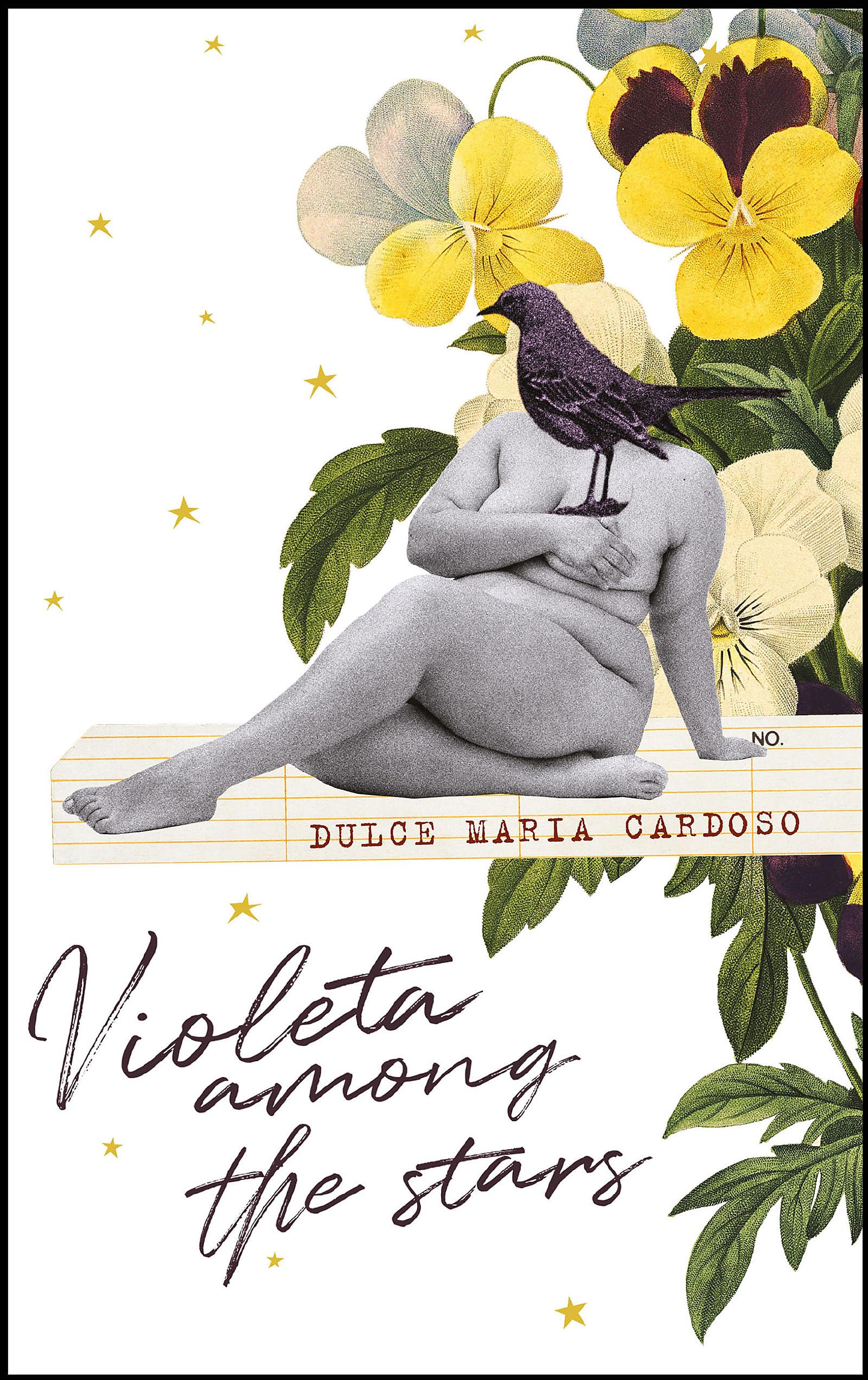 Buy Violeta among the Stars — BookShops.in
