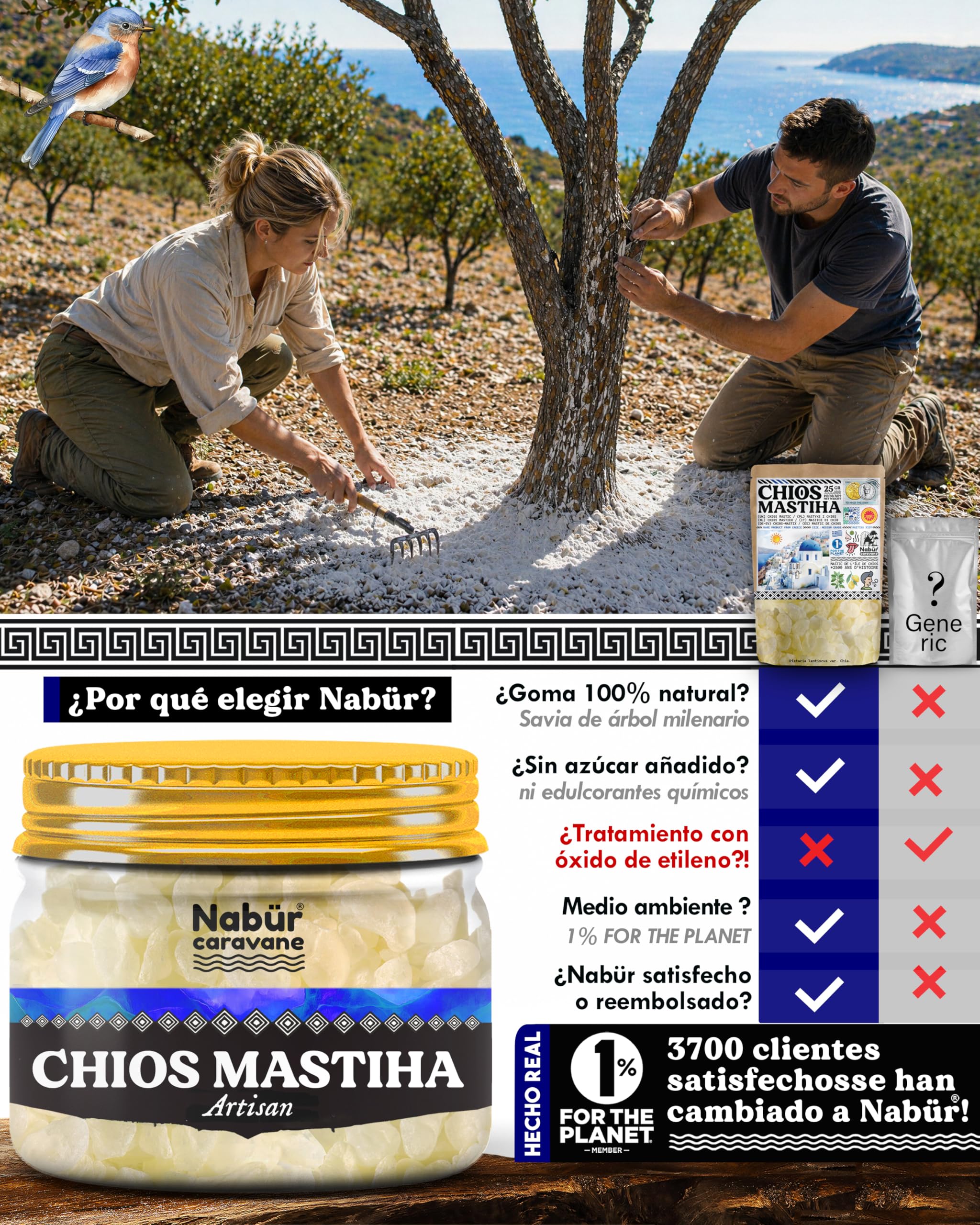 Nabür - 25gr Masilla de Chios DOP, Mastic de Quíos 100% Natural (Medium Grade), Resina Pura de Grecia | Chicle Natural Sin Azúcar