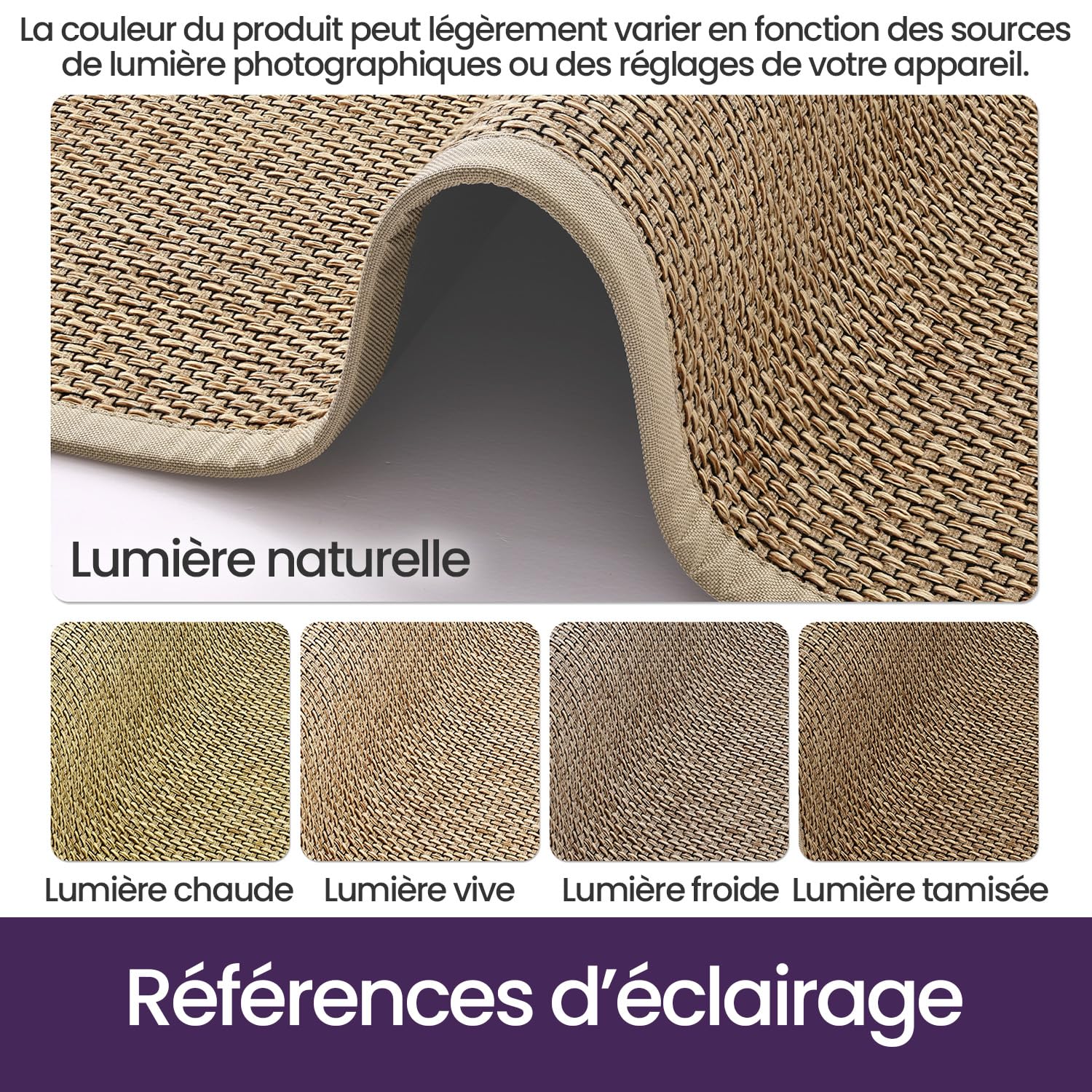 DEXI Paillasson 60 x 90 cm, Tapis d Entrée Intérieur Antidérapant et Absorbant, Profil Bas, Facile à Nettoyer, pour Couloir, Porte, Cuisine, Beige