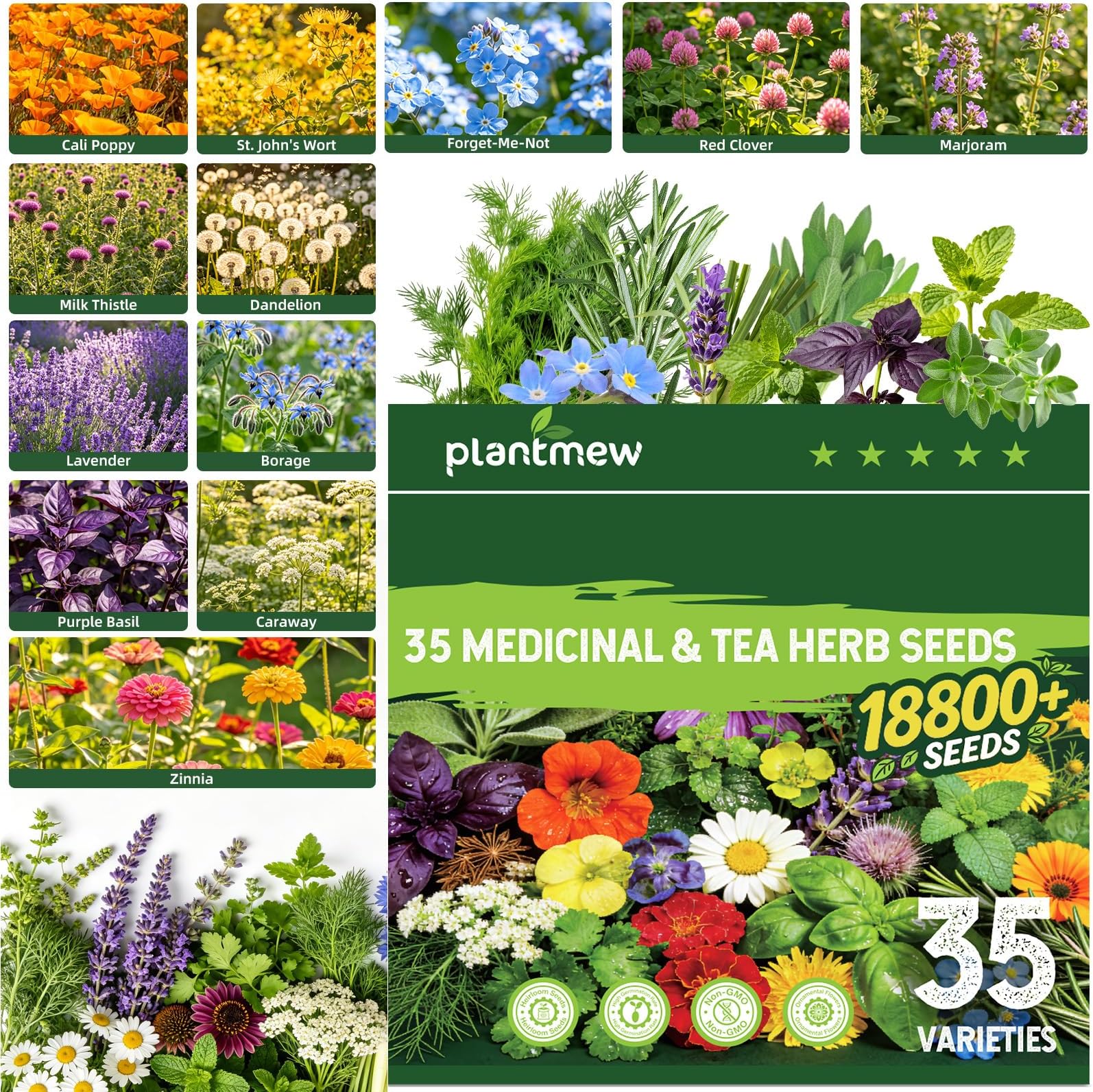 35 Medicinal & Tea Herb Seeds Variety Pack, 18,800+ Premium Garden Seed Vault Kit, Pollinator Friendly, Indoor & Outdoor Year-Round Planting, Lavender, Basil, Cilantro, Peppermint, Chamomile & More