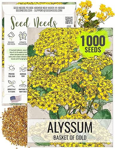 Seed Needs Alyssum Semillas para plantar cesta de oro, flores anuales de reliquia para atraer polinizadores, mariposas y abejas a jardines de rocas