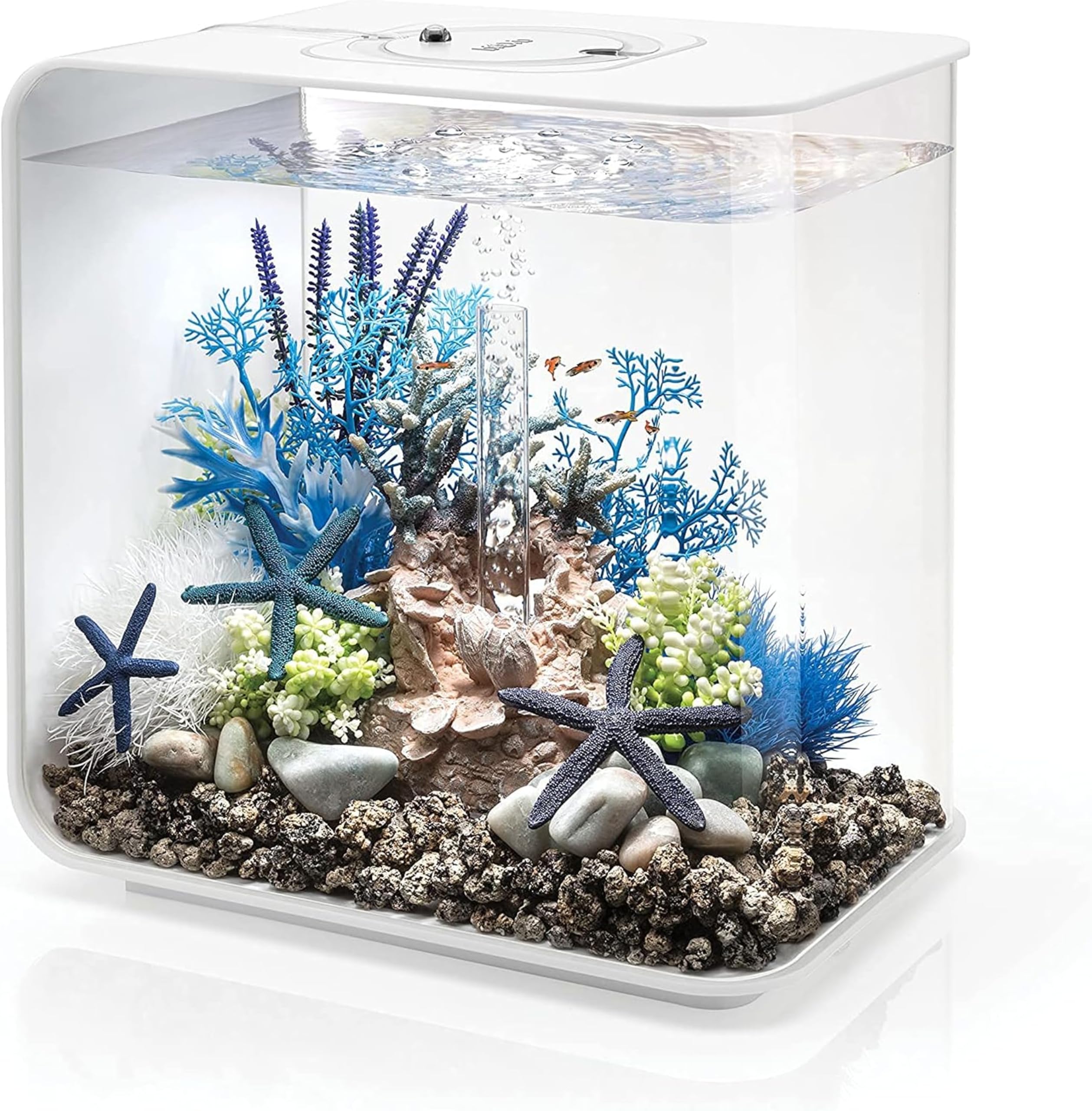 biOrb Flow 30 Acrylic Aquarium, White, MCR Multi-Colour Remote LED Lighting, Stylish 30 Litre Fish Tank with 5-Step Filtration, Easy Setup, Includes Remote, Air Pump, Filter Cartridge, Ceramic Media