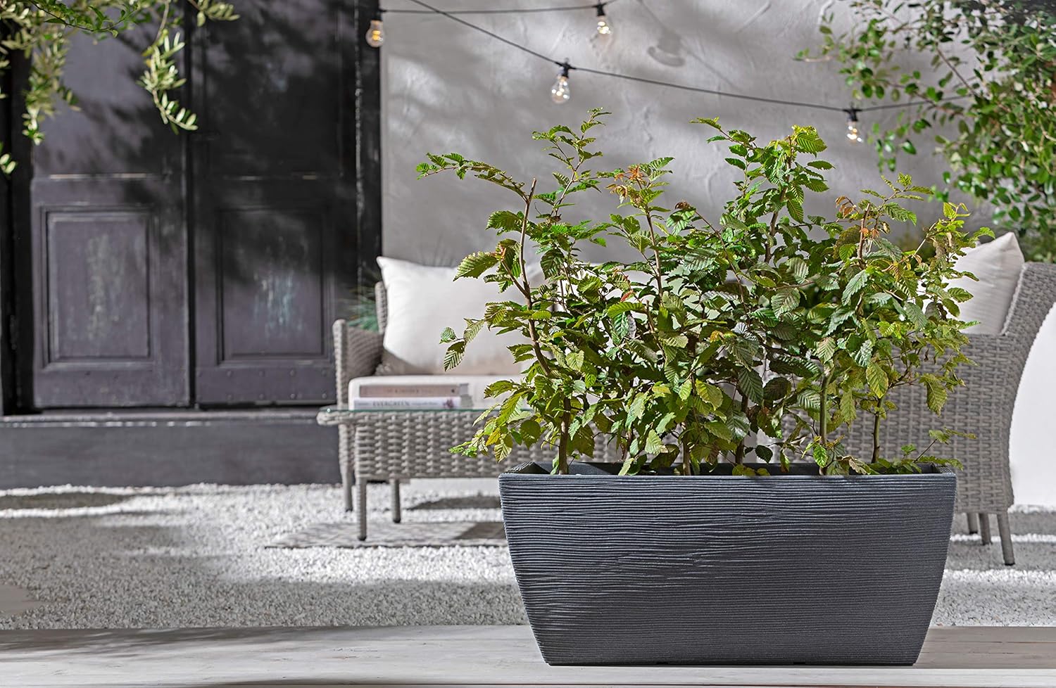 Dehner Flower Box Groove, Approx. 80 x 40 x 34 cm, Plastic, Anthracite