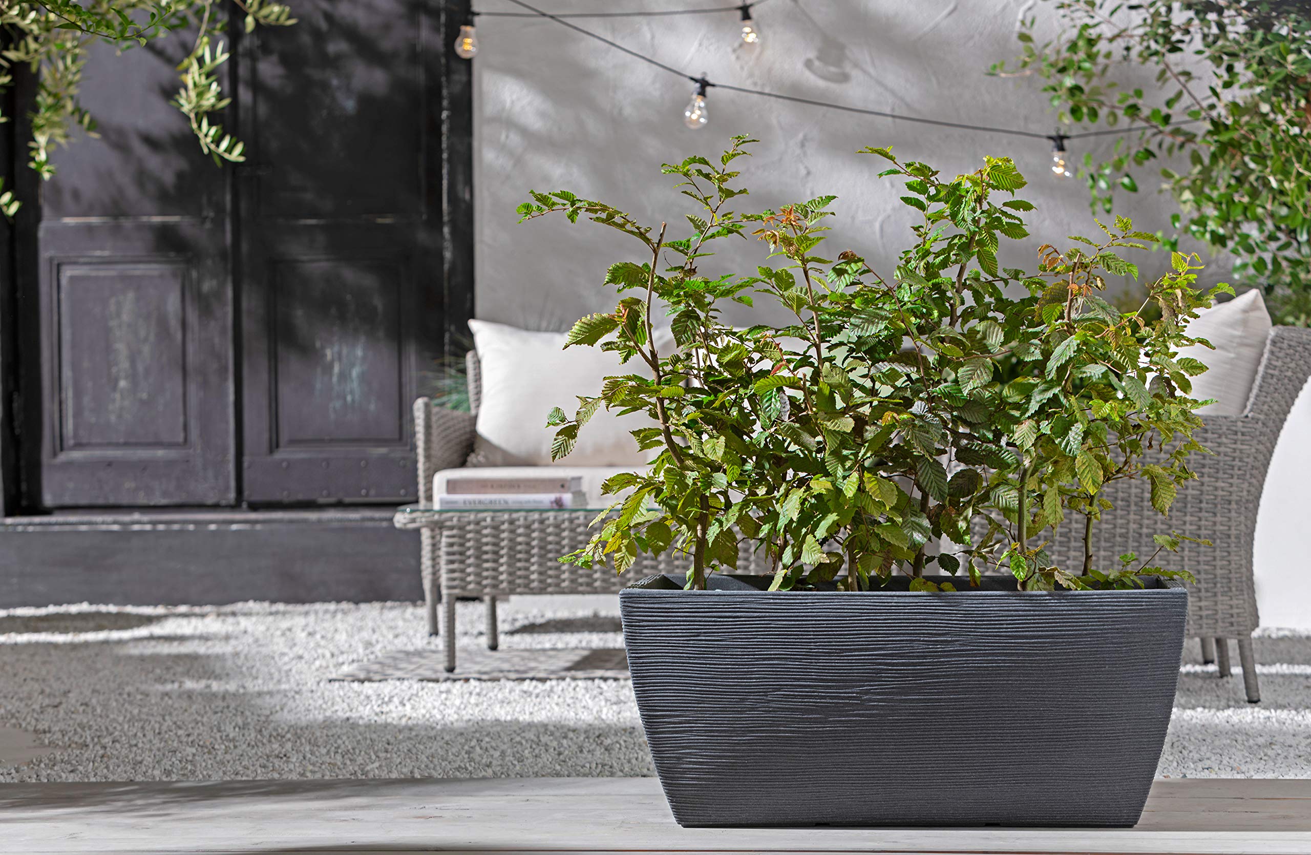 Dehner Blumenkasten Rille, ca. 80 x 40 x 34 cm, Kunststoff, anthrazit