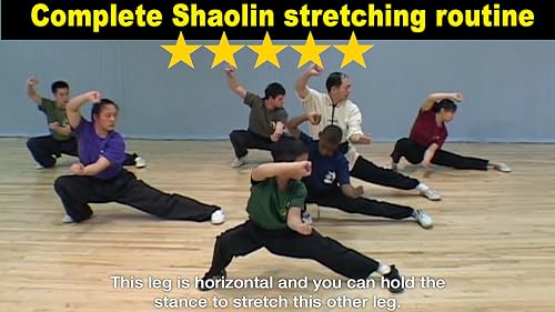 Shaolin Kung Fu – vue 6