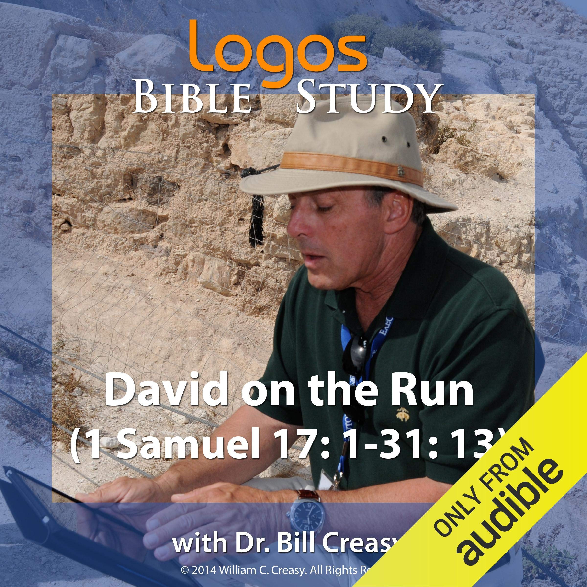 Cover art for David on the Run (1 Samuel 17: 1-31: 13)